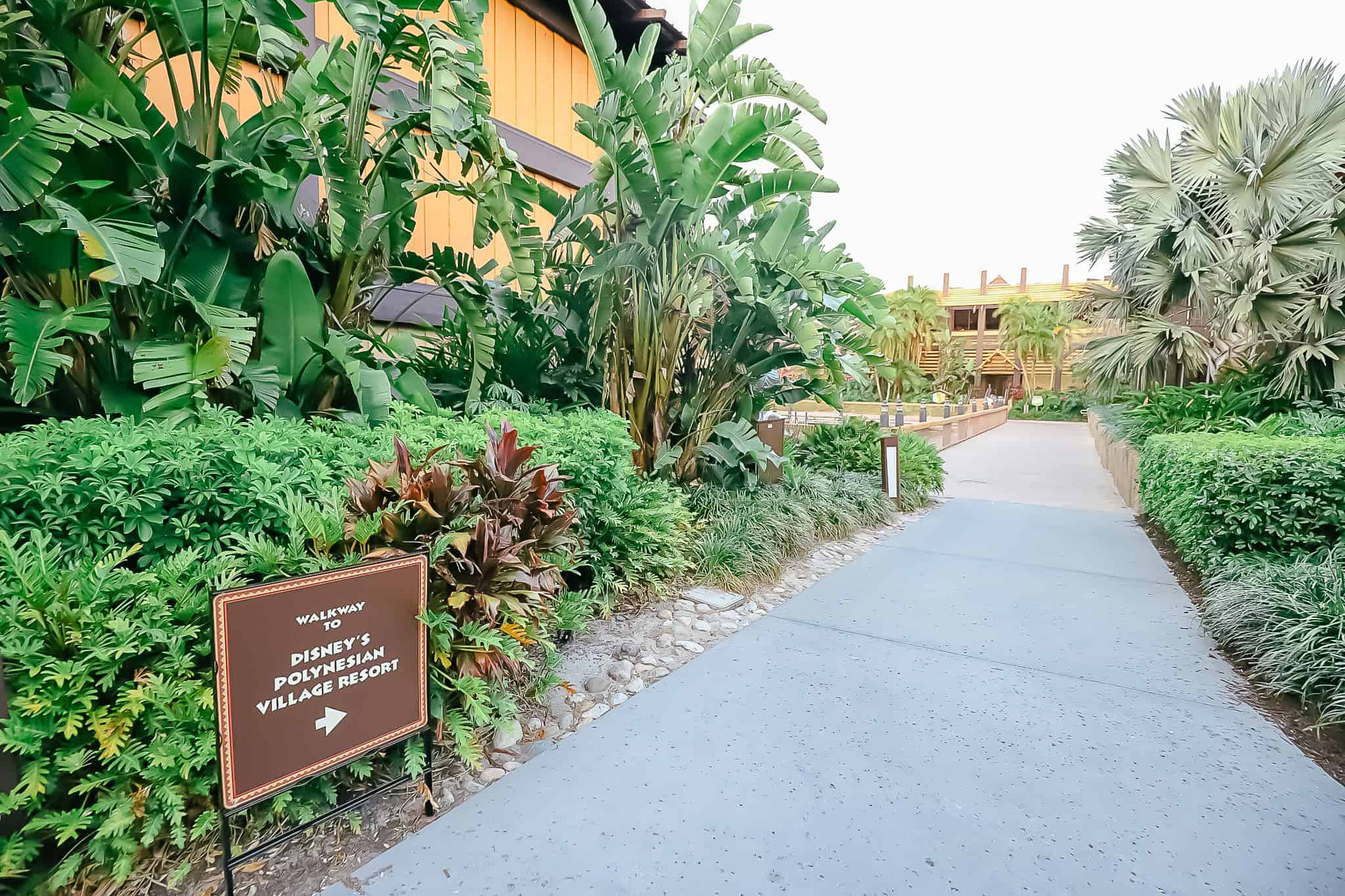 walkway to the Polynesian 