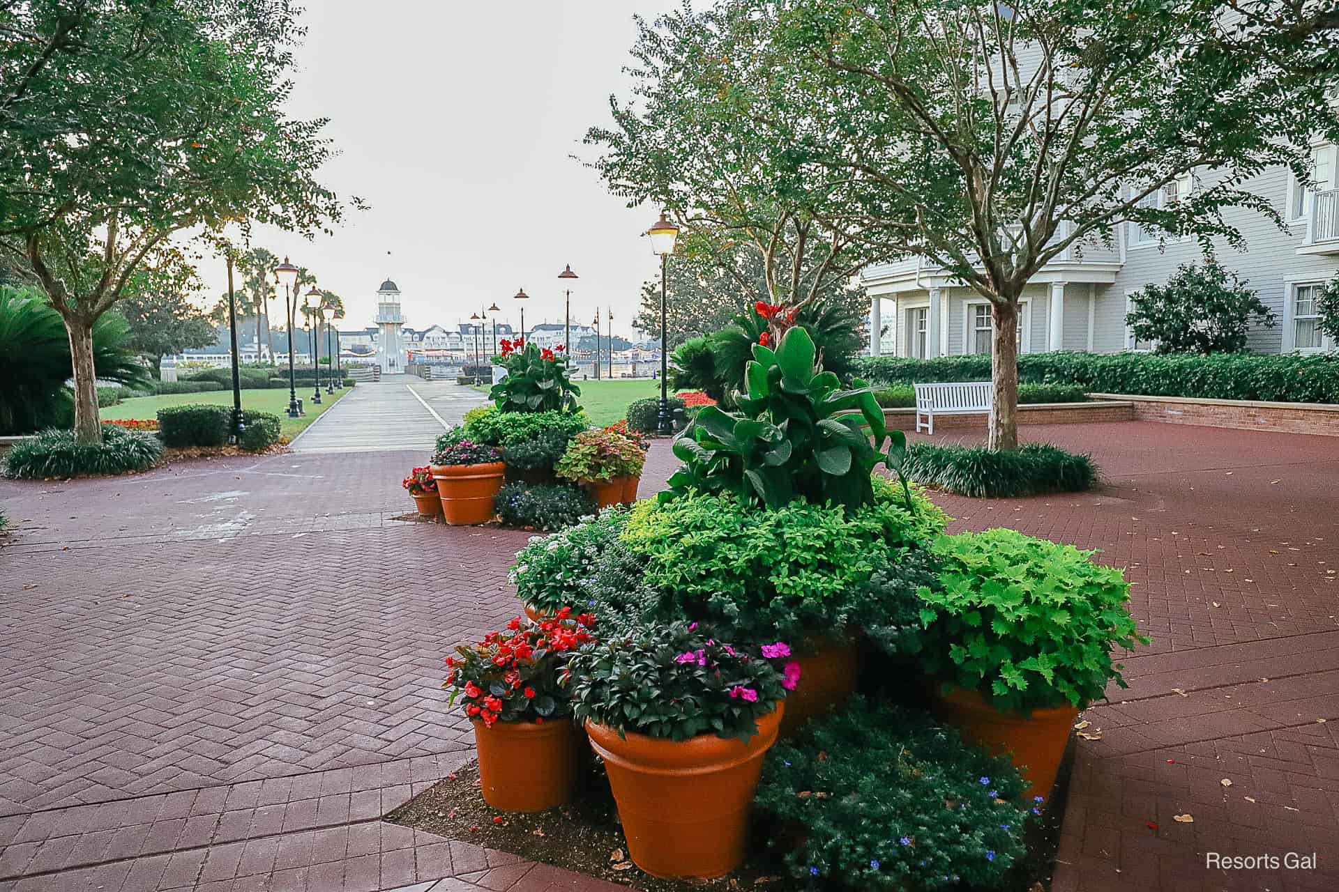 a mix of potted plants in the Yacht Club's courtyard 