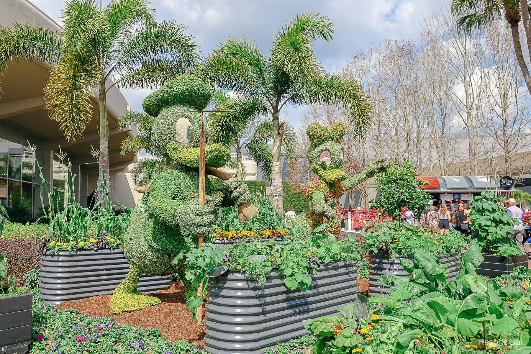 Closeup of Donald and Daisy topiary in the Community Garden at Epcot Flower and Garden in 2023 