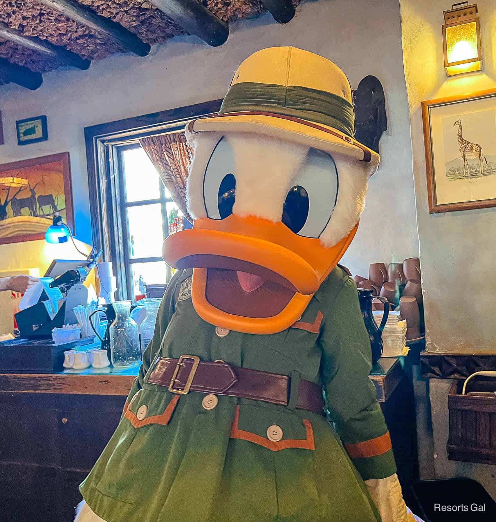 Donald in a full dark green safari jacket with brown buckle and hat. 