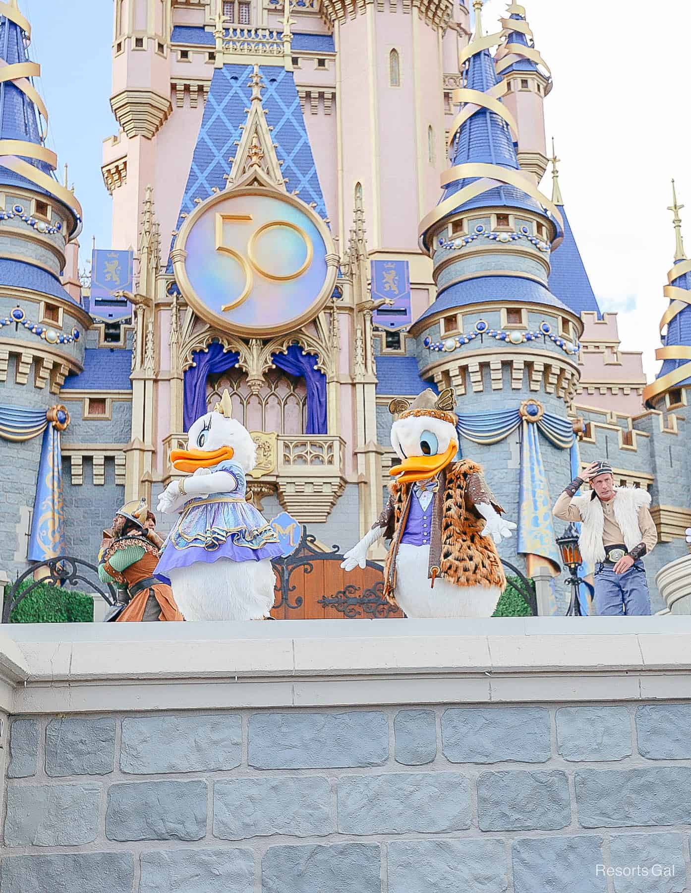 Donald in his costume for the castle stage show at Magic Kingdom. 