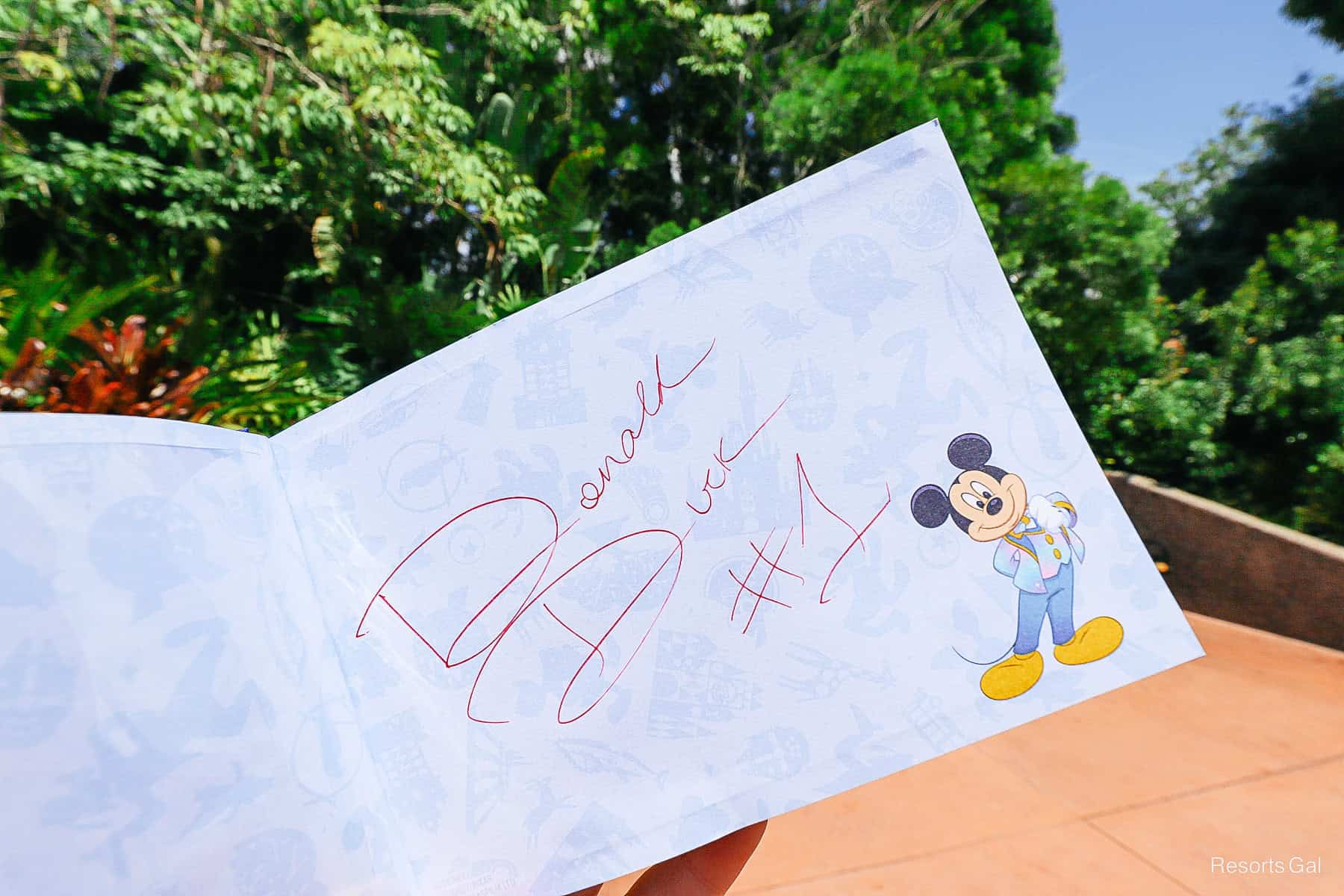 Donald Duck's character autograph 