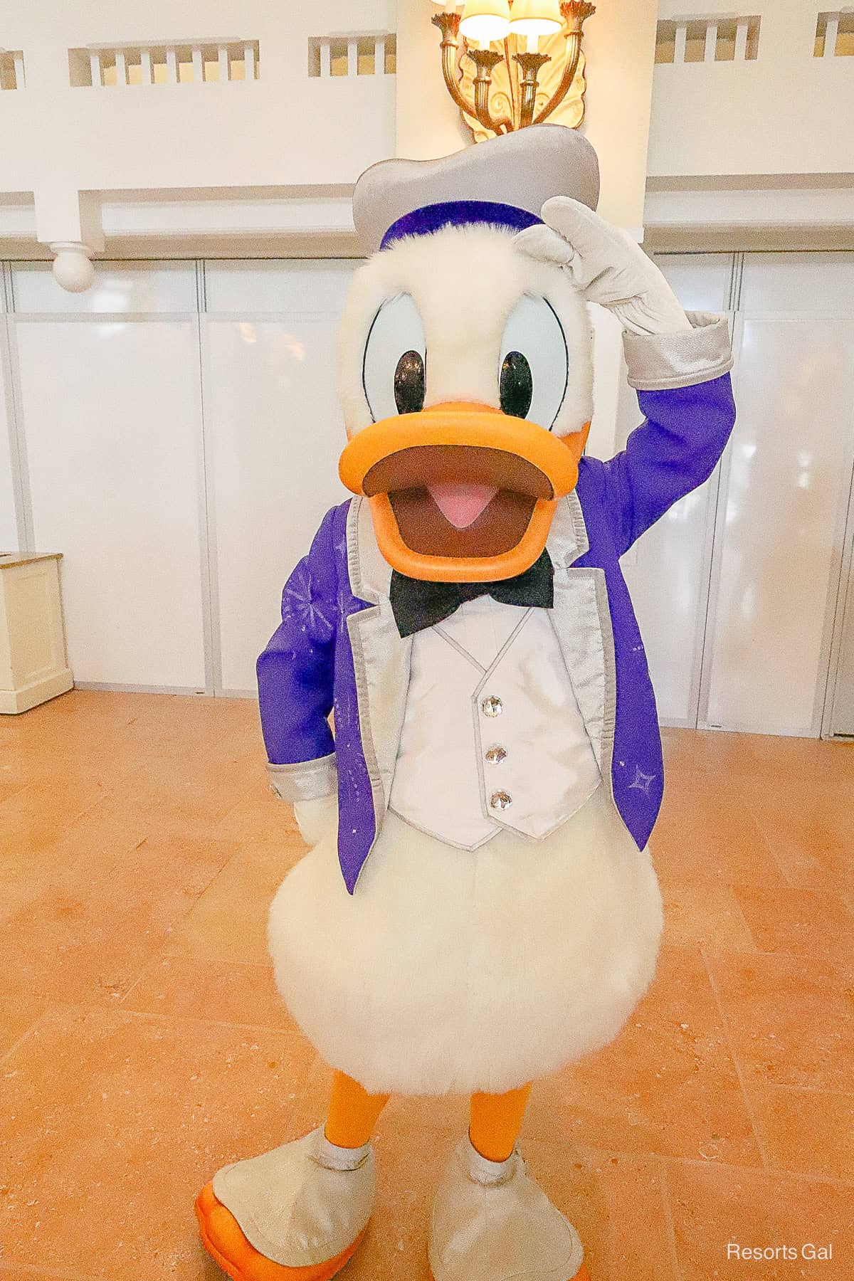 Donald in his Disney 100 outfit with a purple and silver coat. 