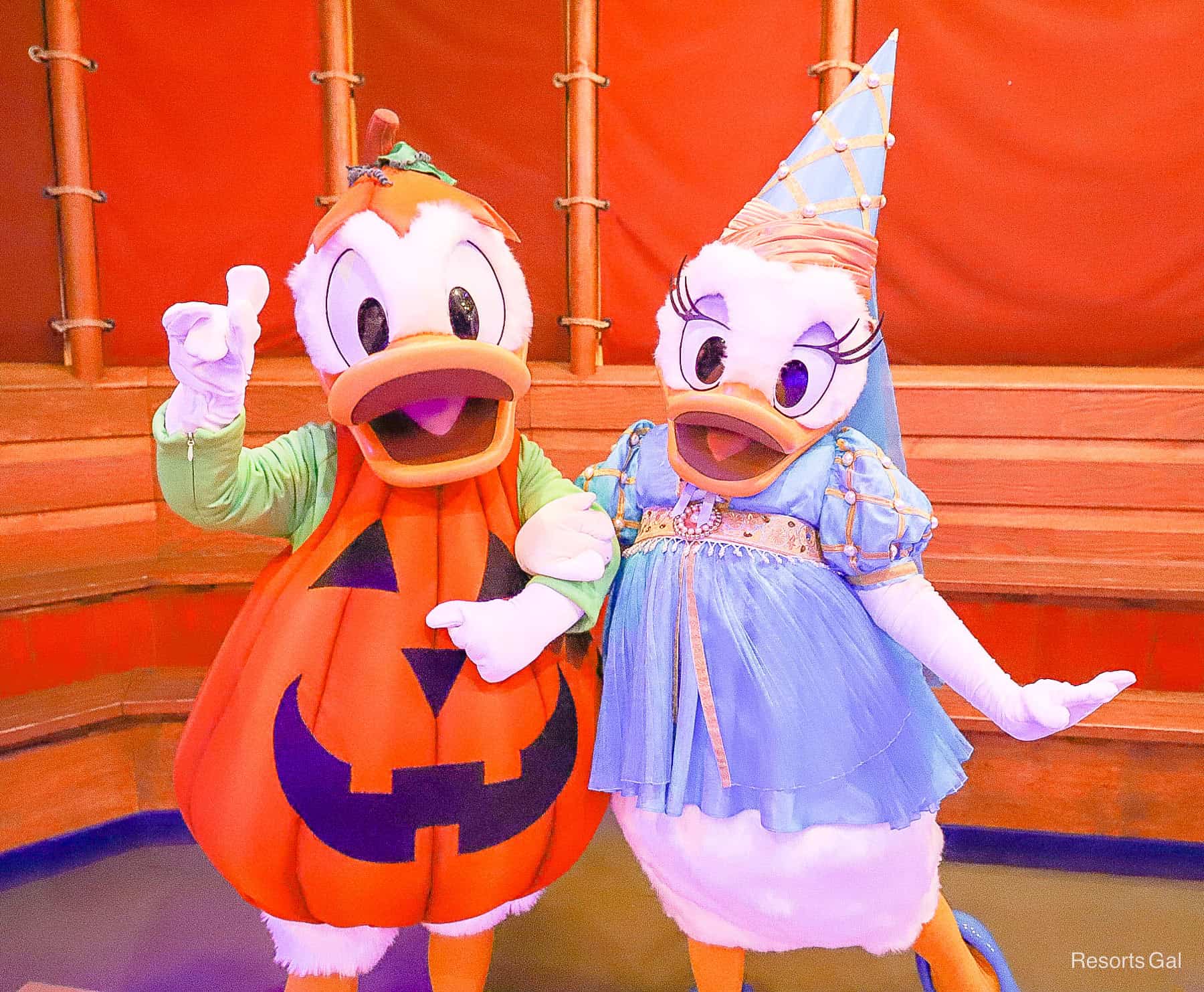 Donald wears a pumpkin suit with Daisy at Halloween. 