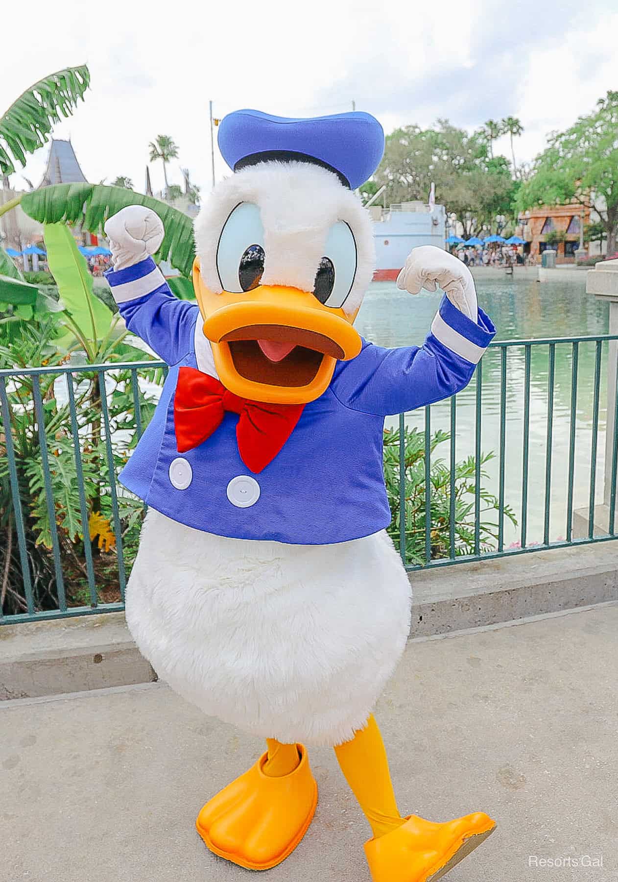 Donald Duck shows a strong pose 