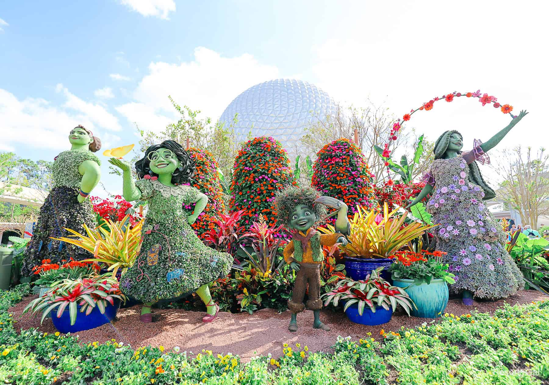 the former entrance topiary featuring Encanto 