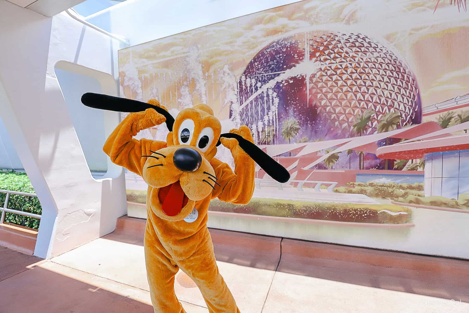 Pluto at his Epcot Character meet-and-greet. 