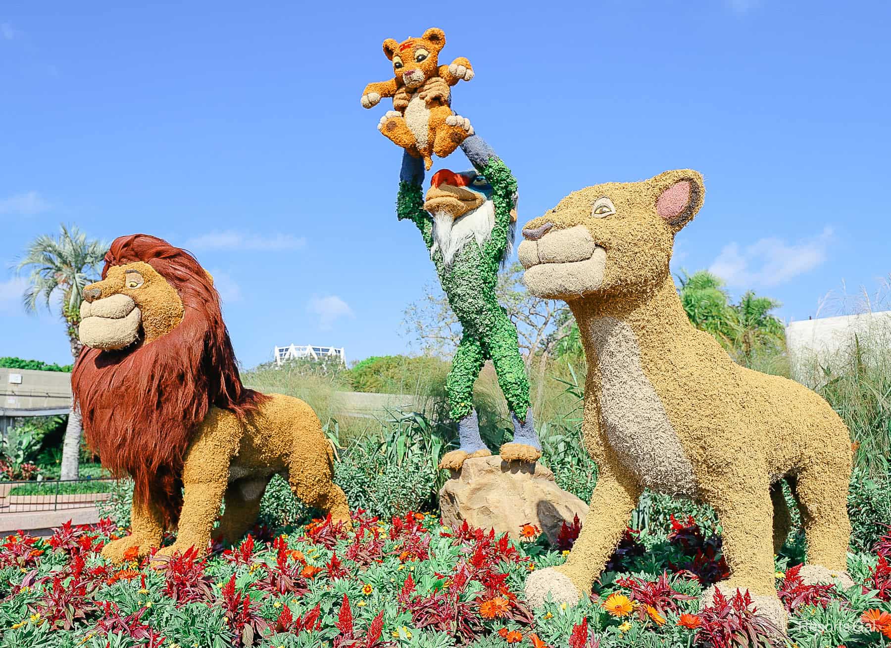 Mufasa , Sarabi, Rafiki and Simba Lion King topiary 