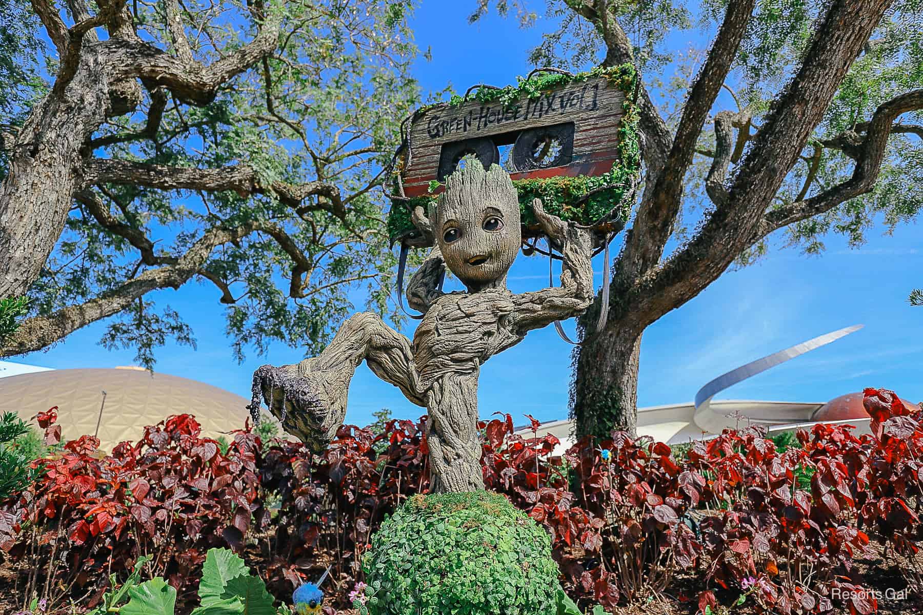 Groot topiary at Epcot Flower and Garden 