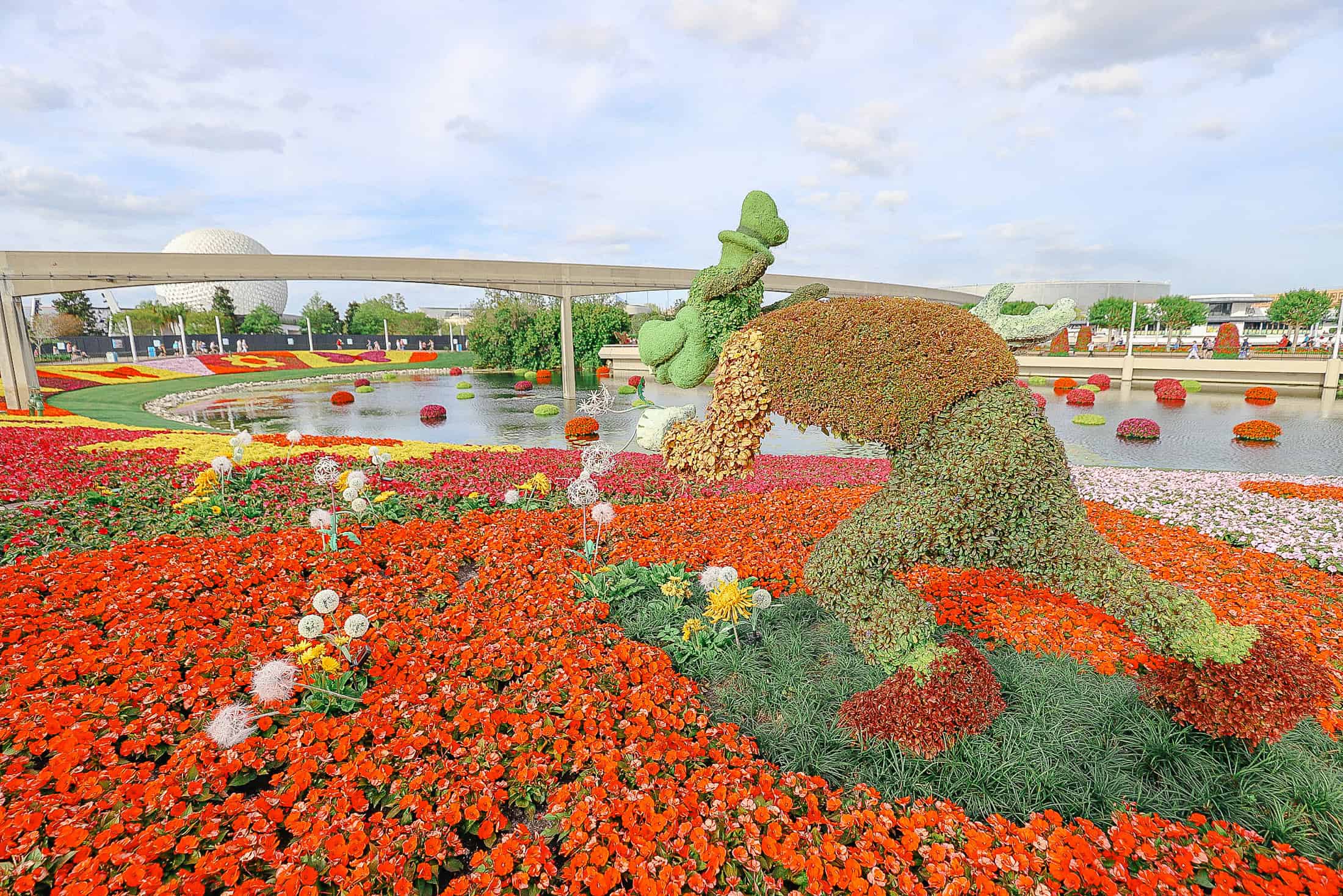 Goofy topiary near the Rose Walk at Epcot 