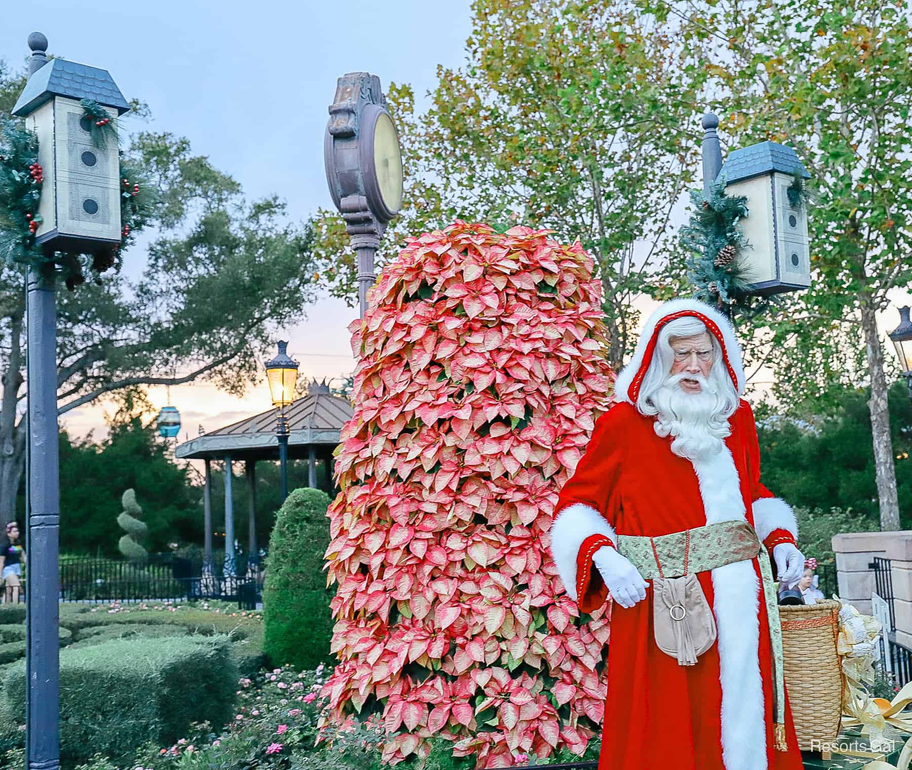 a Holiday Storyteller during the holiday season at Walt Disney World 