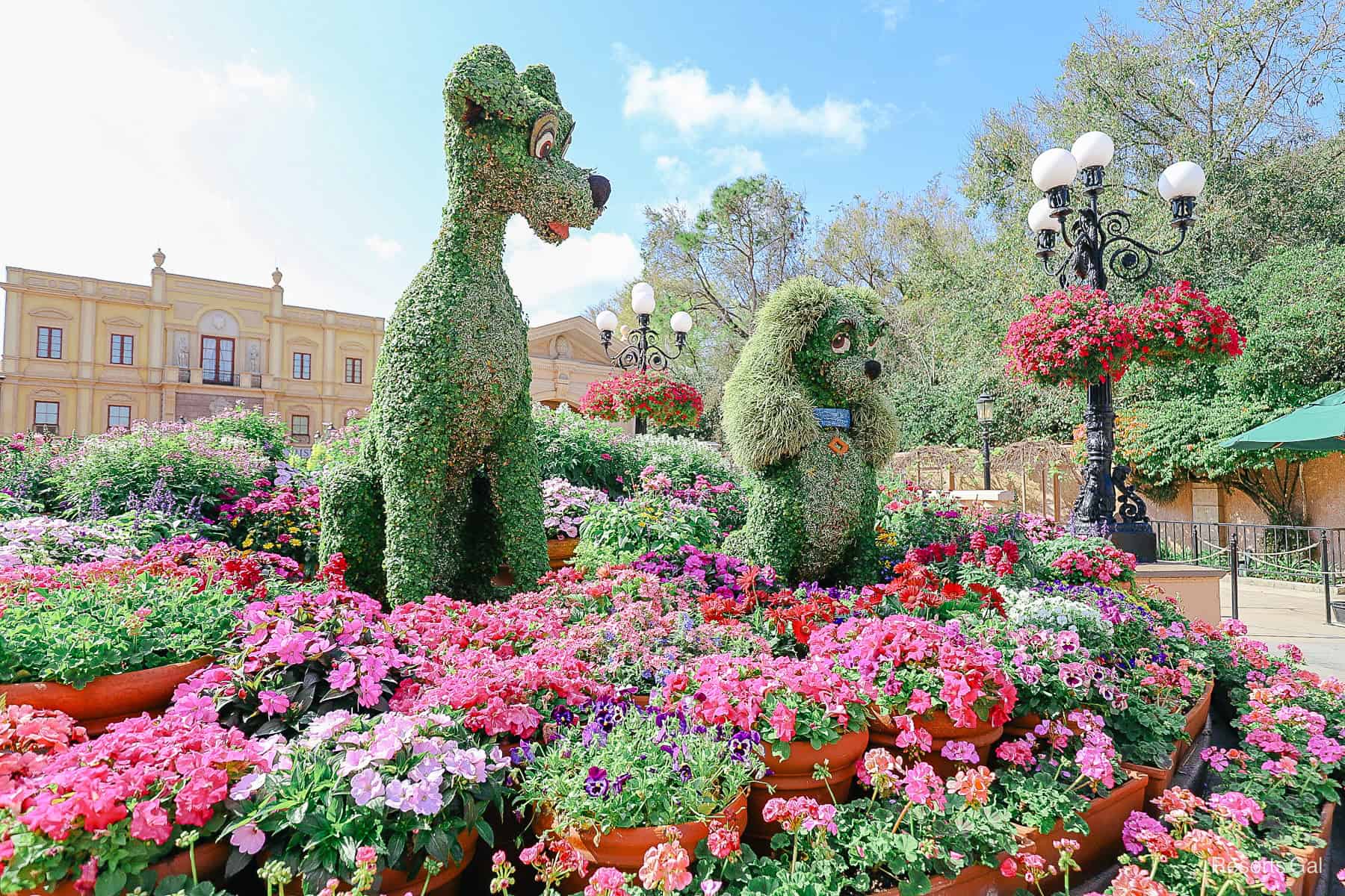 The Lady and the Tramp in the Italy Pavilion at Epcot during Flower and Garden Festival. 