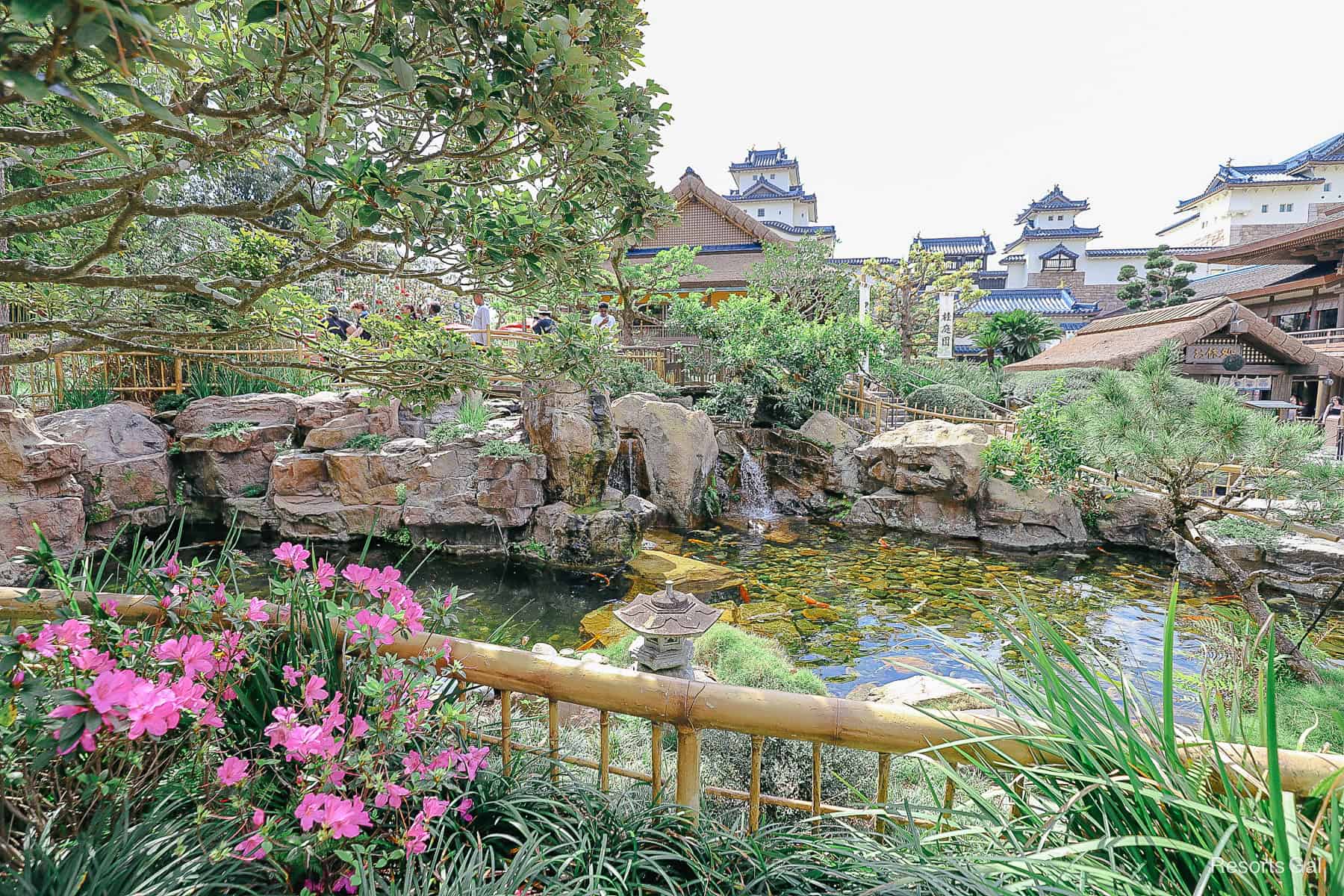 gardens with flowers, pond, and landscaping in the pavilion