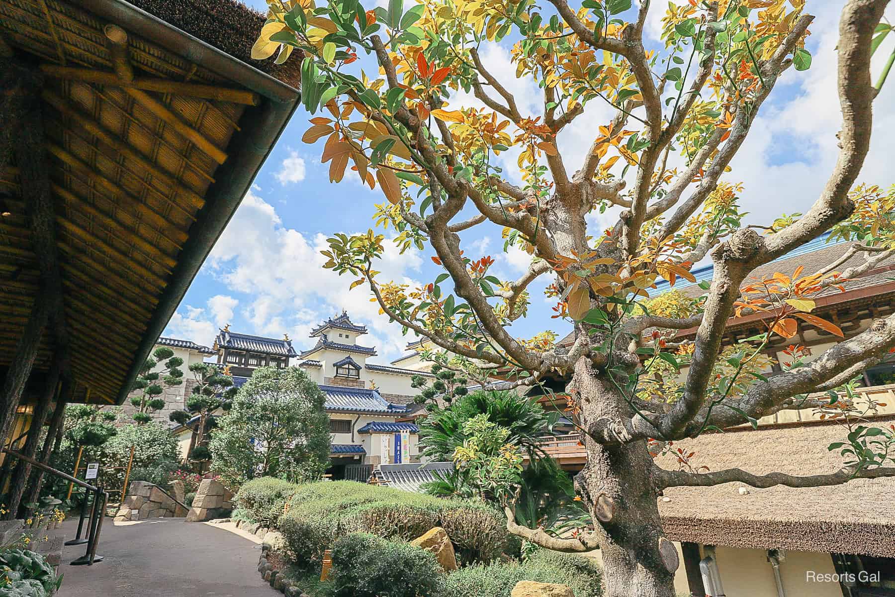 Japanese castle backdrop at the back of the pavilion with yellow and orange blooming tree