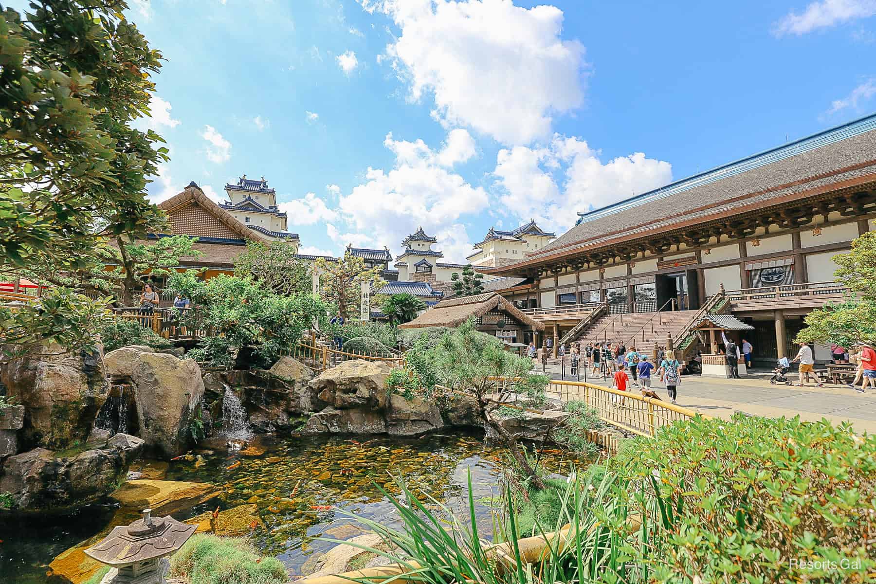 a pond with buildings in the background 