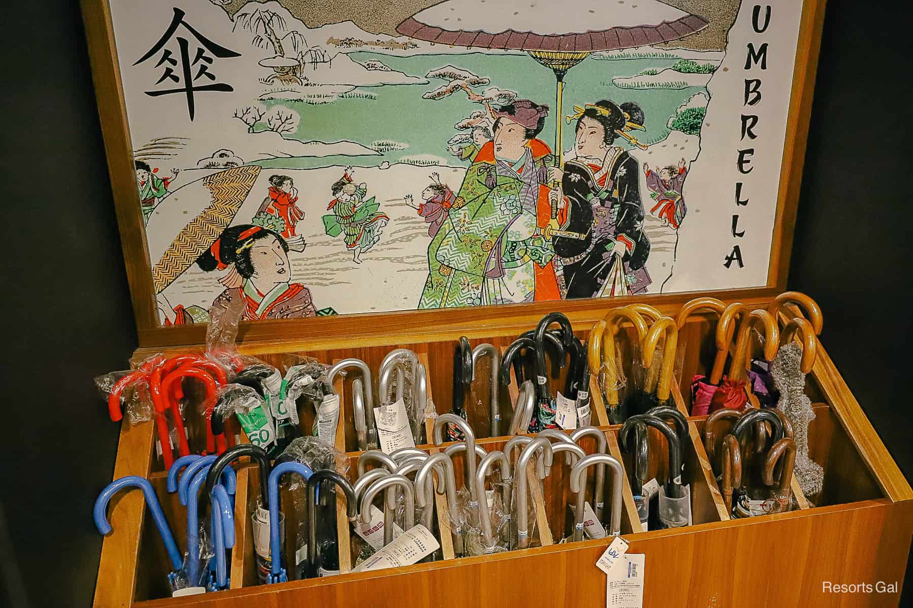 Japanese Umbrellas 