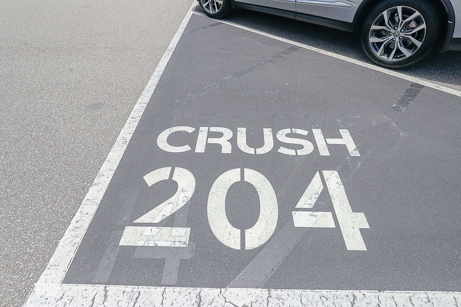 a row and number at the end of a parking aisle at Epcot "Crush 204"