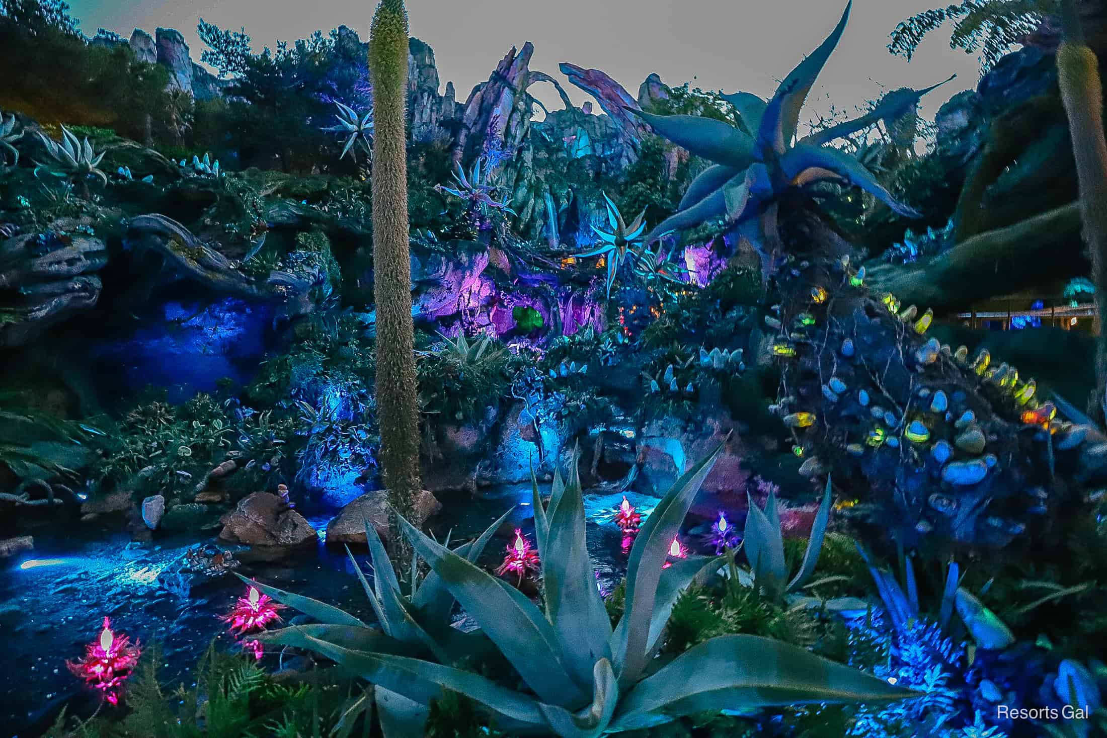 Pandora during extended evening hours at Disney's Animal Kingdom 