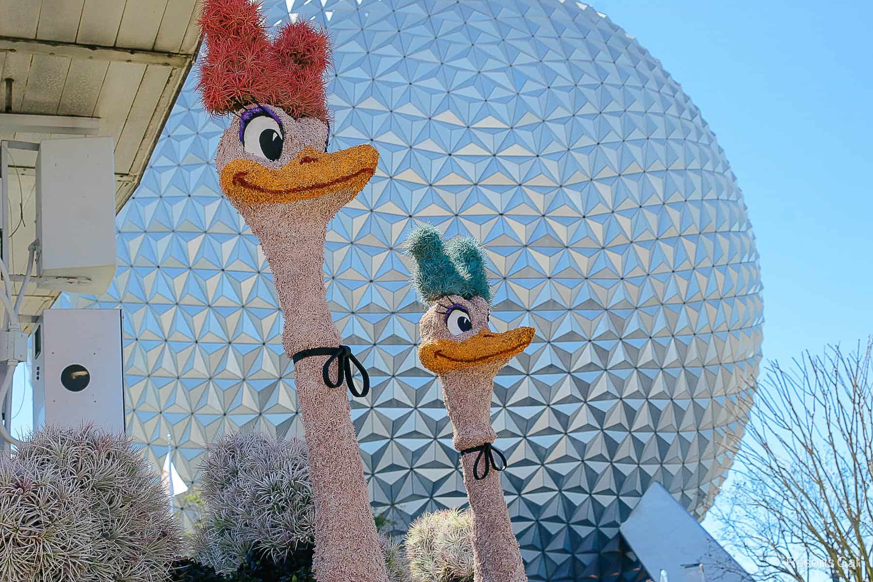 dancing ostriches topiary closeup that shows bows around necks 