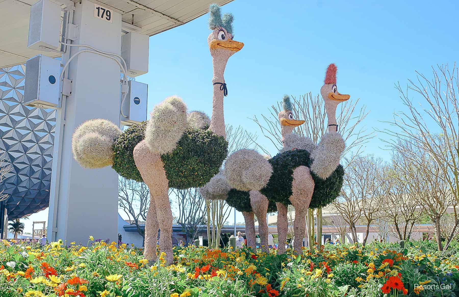 trio of ostriches at side angle