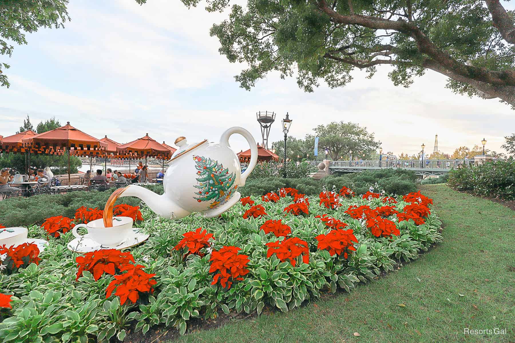 a flower bed with a teach cup with a Christmas Tree painted on it. 