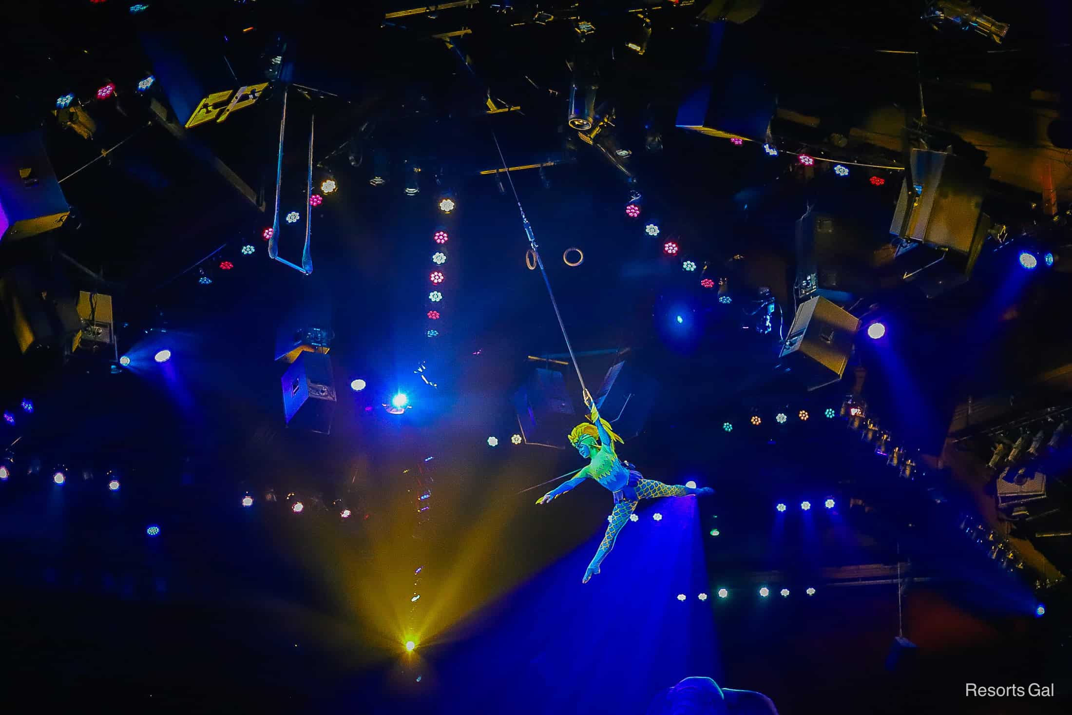 the aerial performer as she swings overhead in Festival of the Lion King 