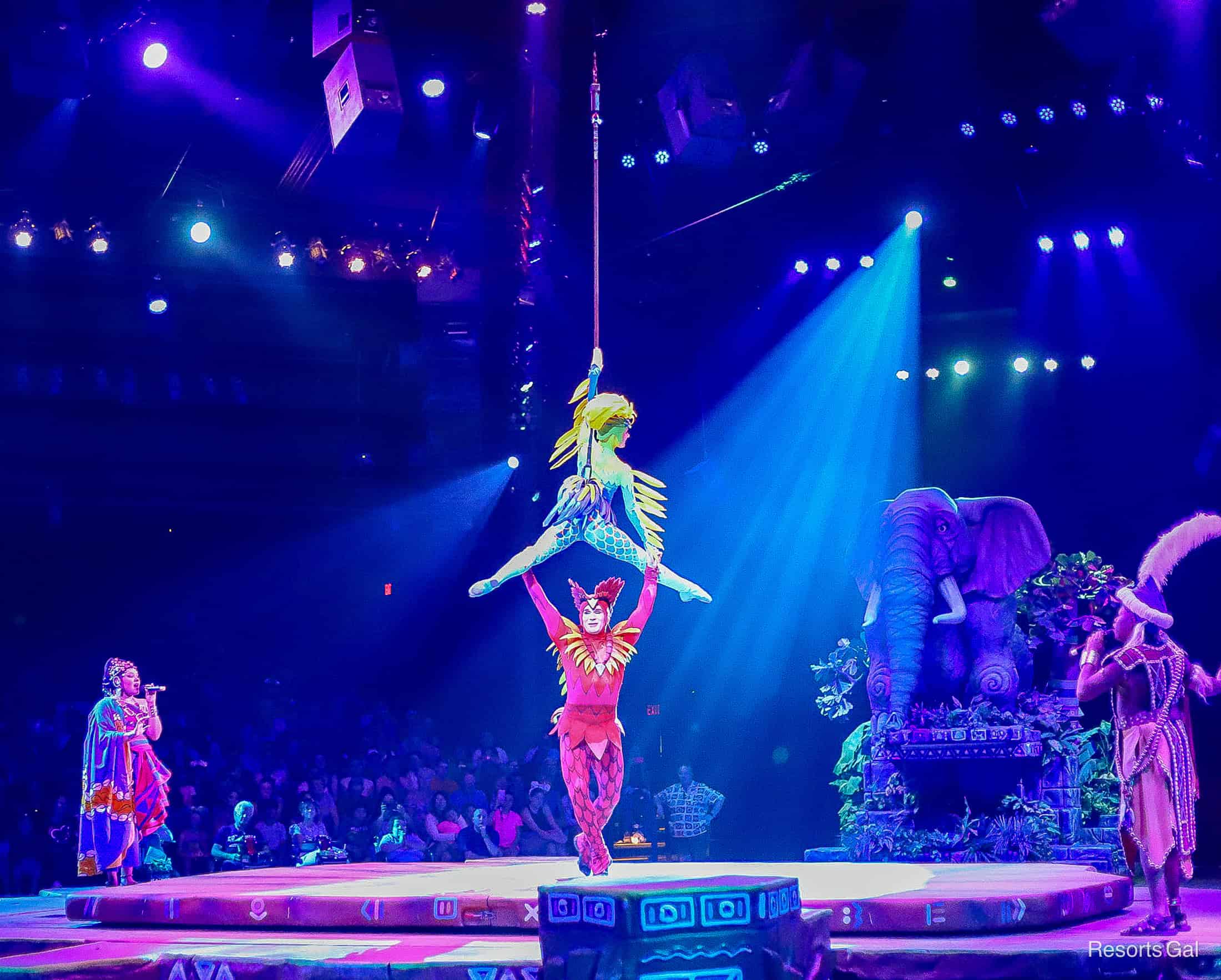 an aerial performance during Festival of the Lion King 