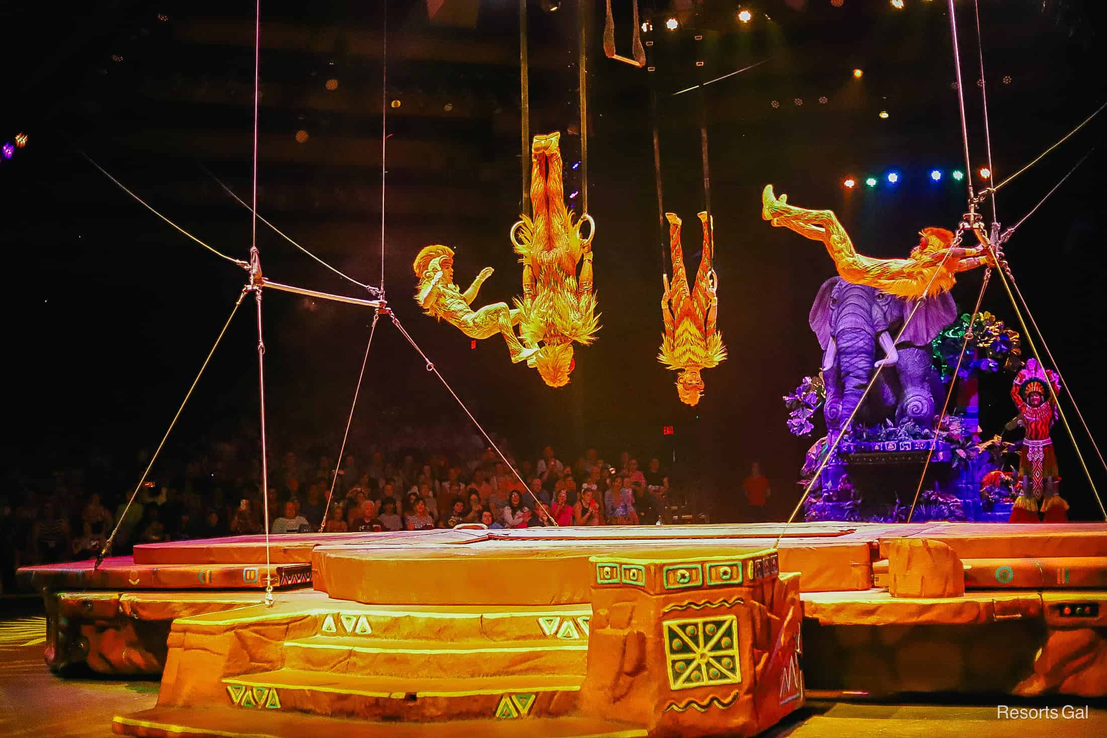 the Tumble Monkeys suspending upside down during Festival of the Lion King 