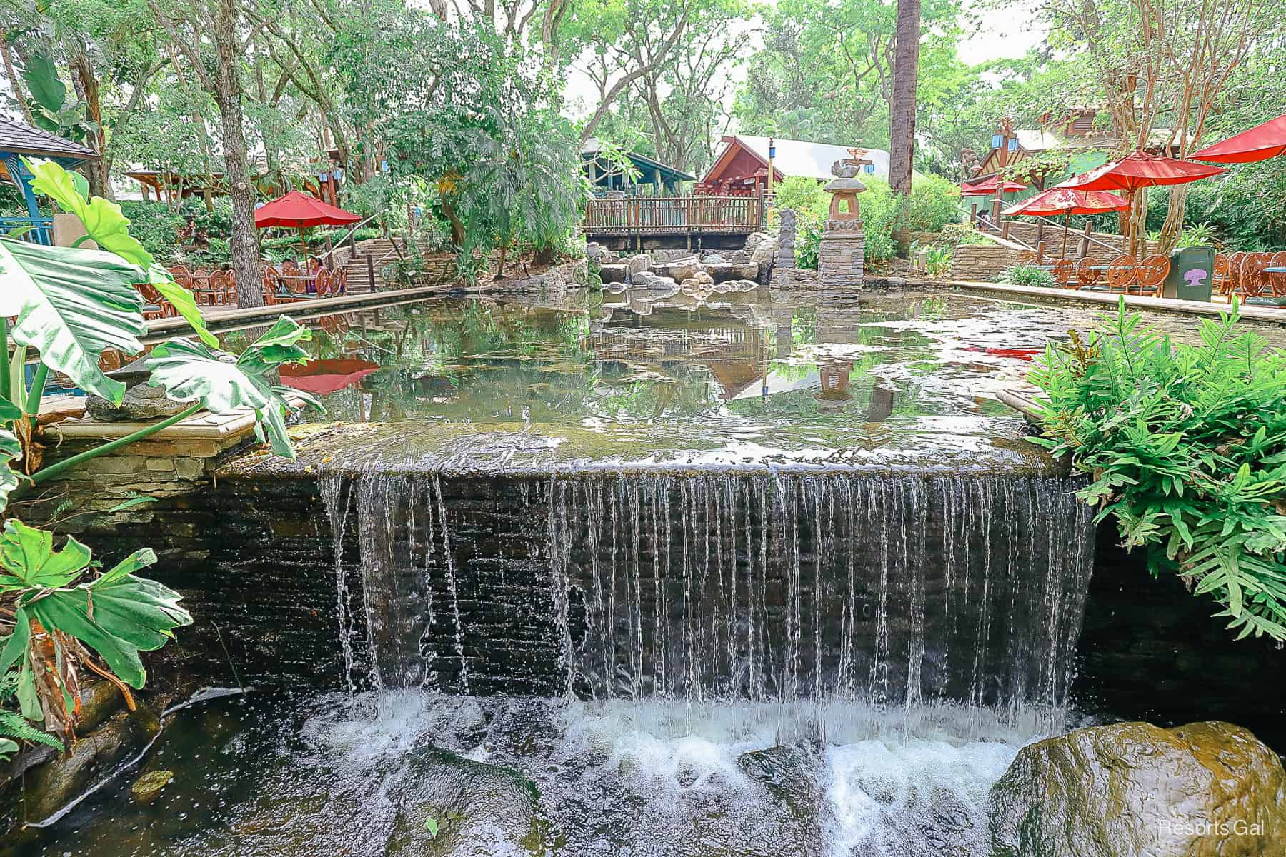 waterfalls at the Flame Tree Barbecue Dining area at Disney's Animal Kingdom 