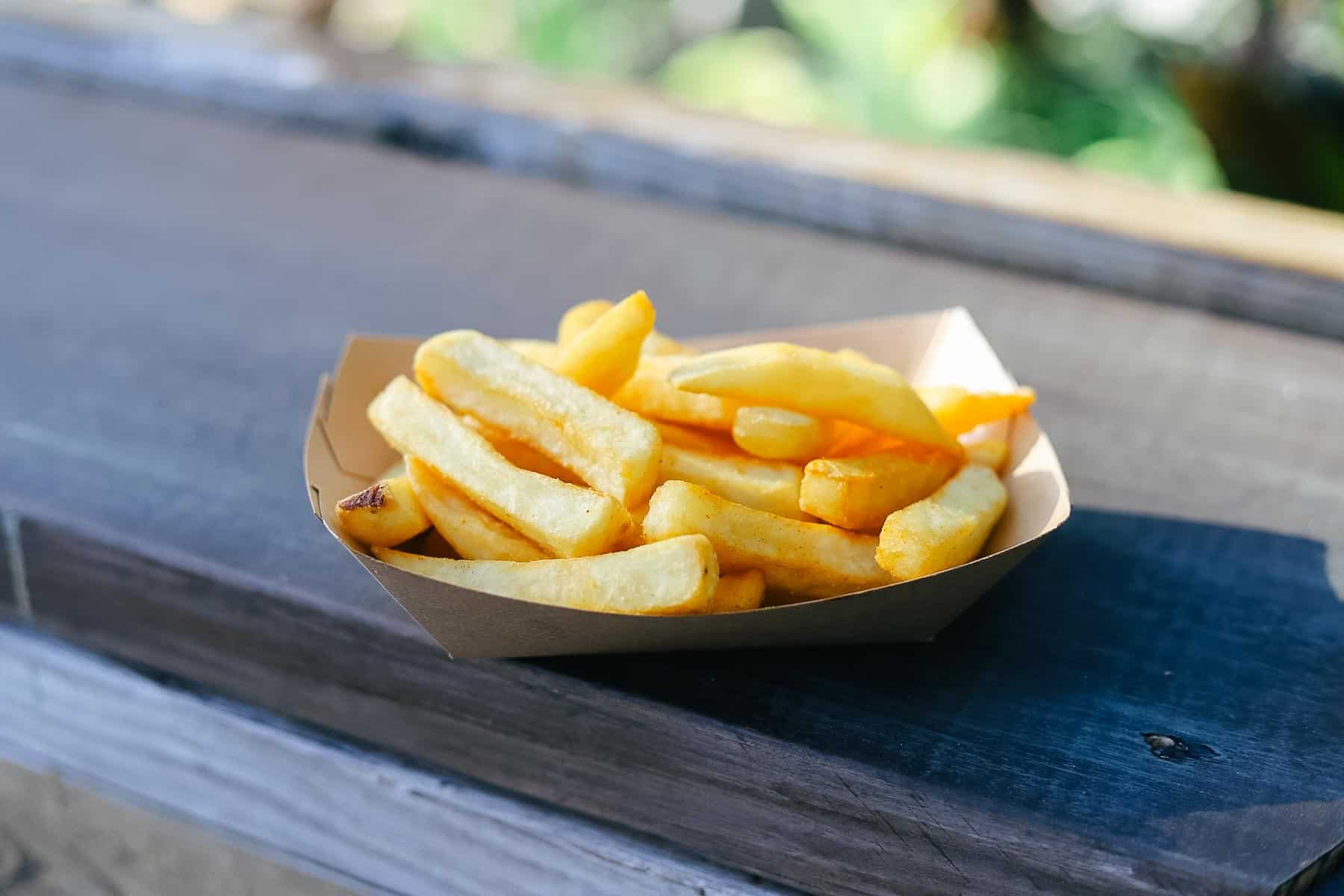 an order of steak fries from a quick service restaurant at Typhoon Lagoon 