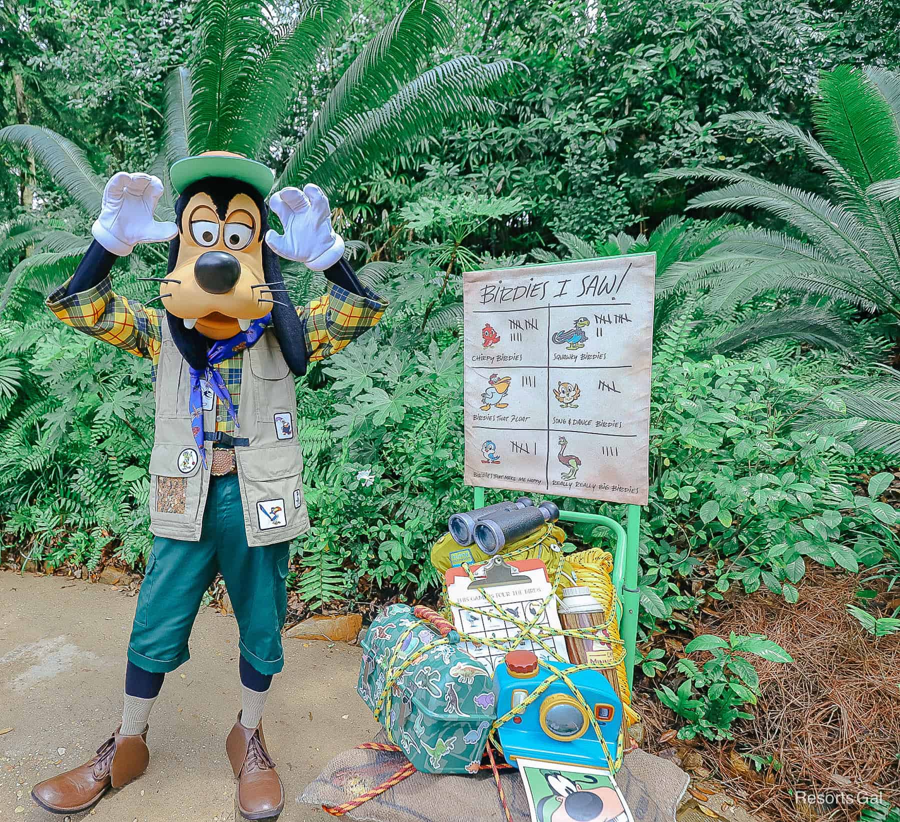 Goofy in his new outfit at Animal Kingdom. 