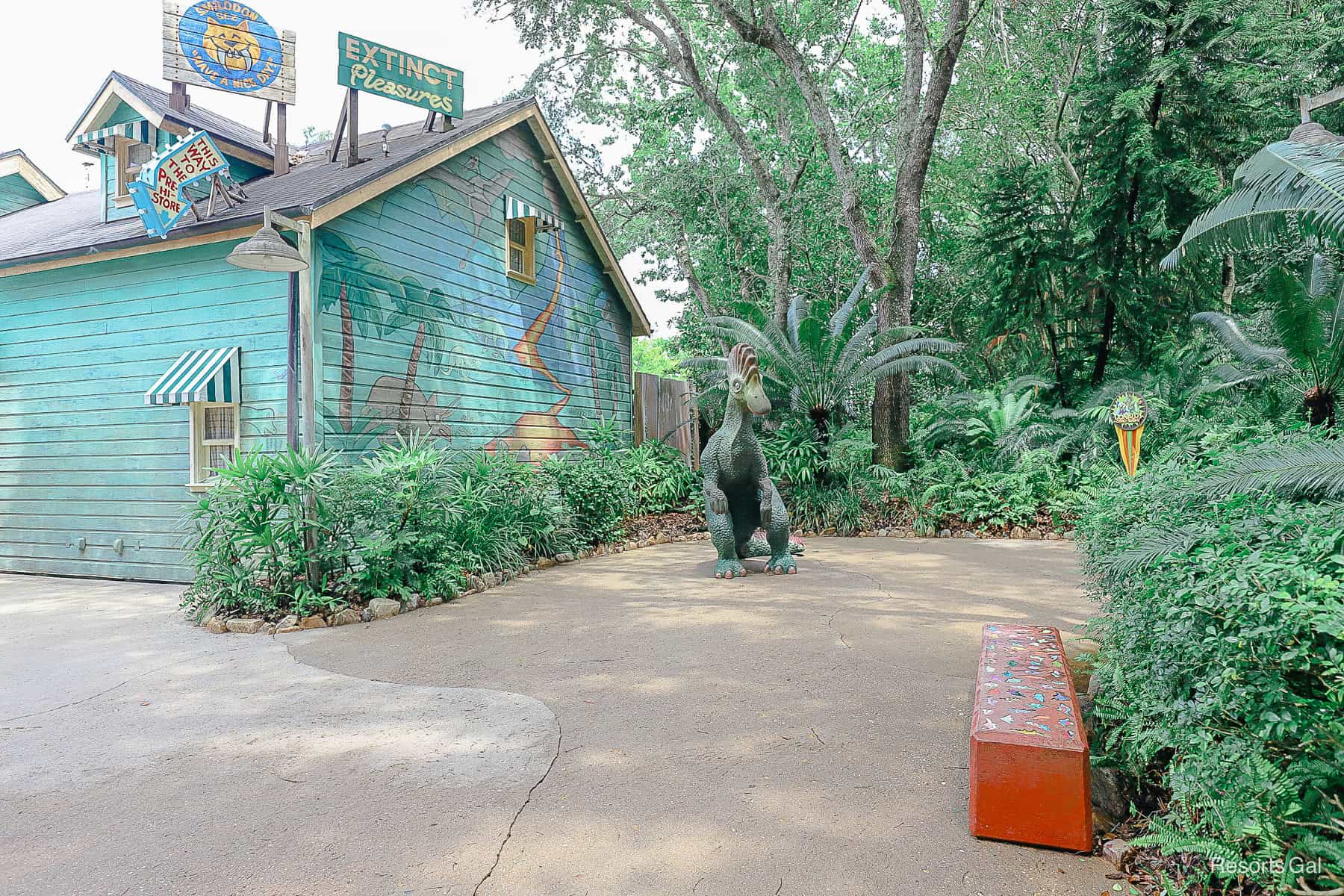 the meet-and-greet location for bird-watching Goofy before he arrives 
