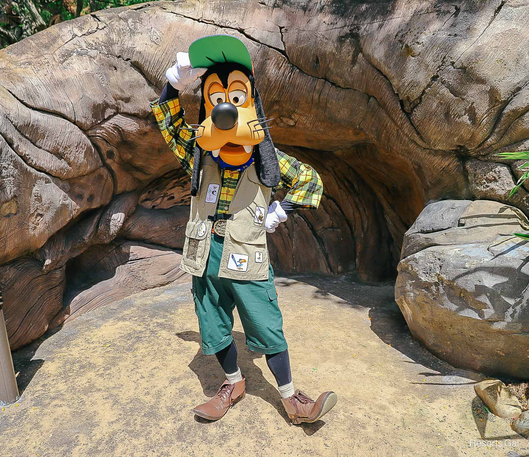 Goofy in his Camp Minnie-Mickey outfit 