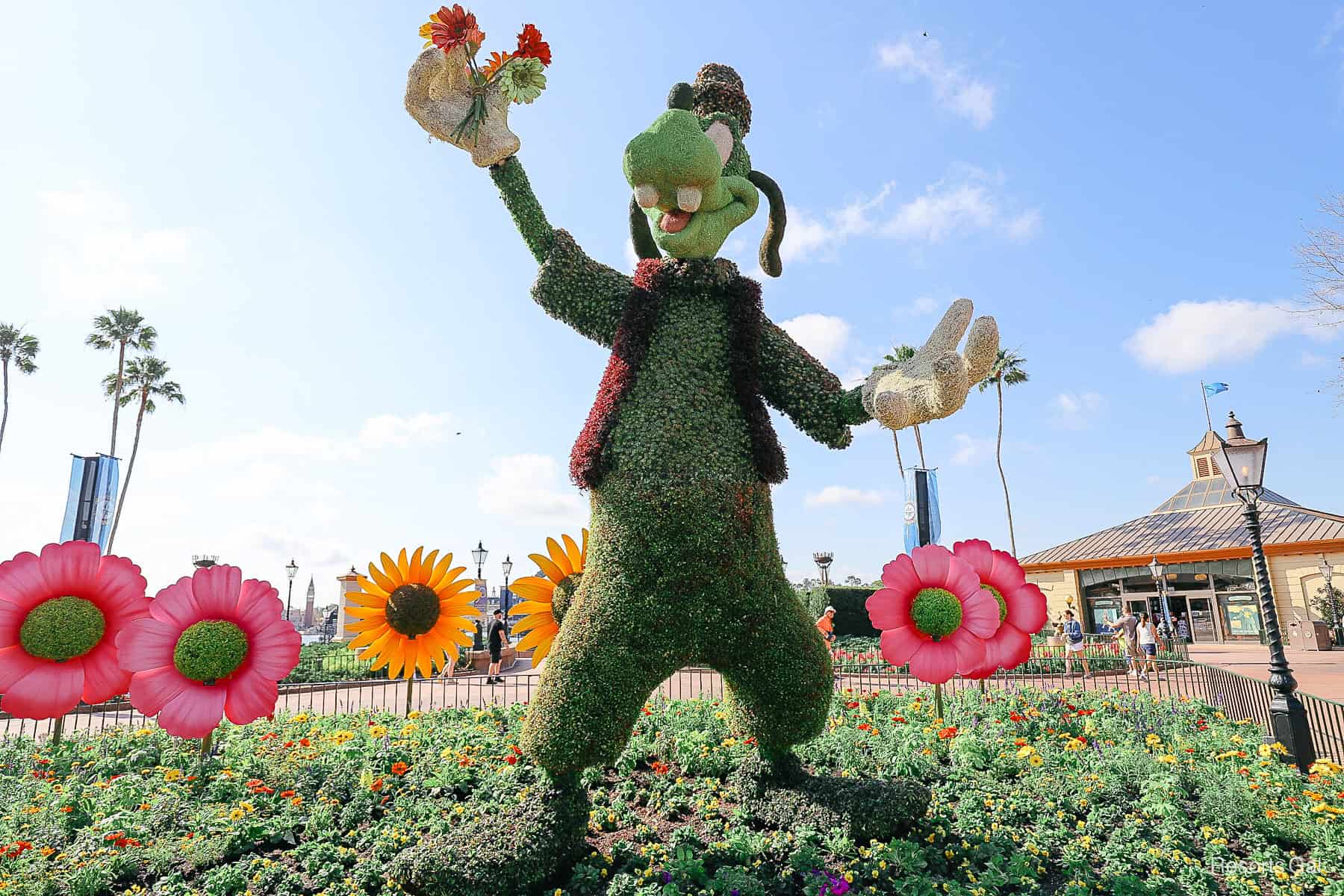 Through the Years: Goofy’s Character Topiary at Epcot’s Flower and Garden Festival