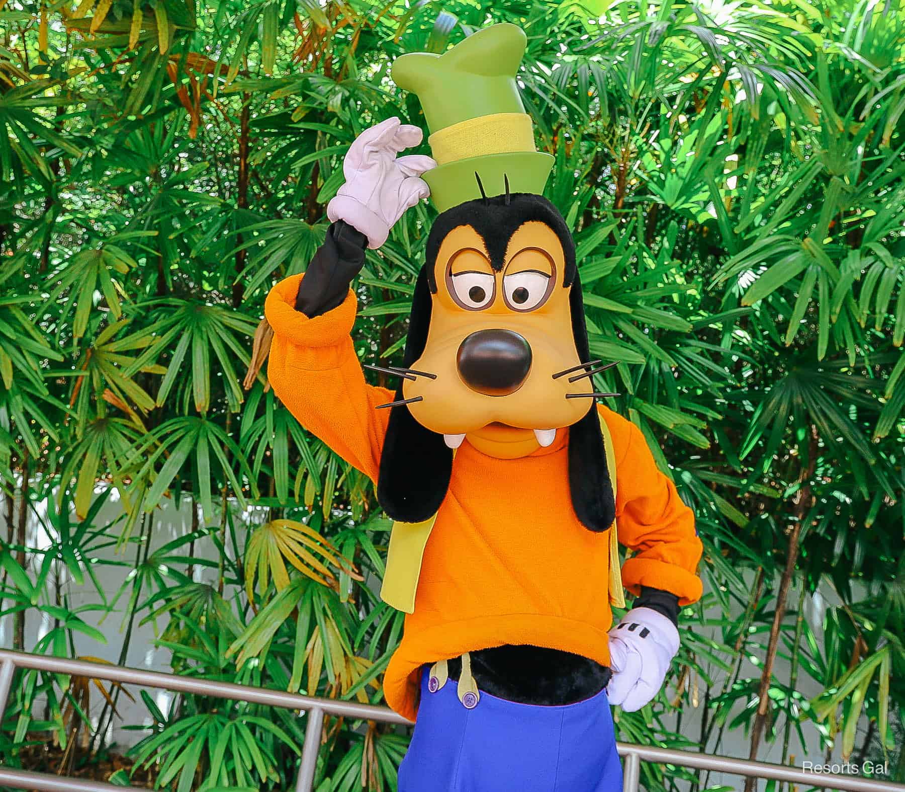 Goofy in his traditional outfit.