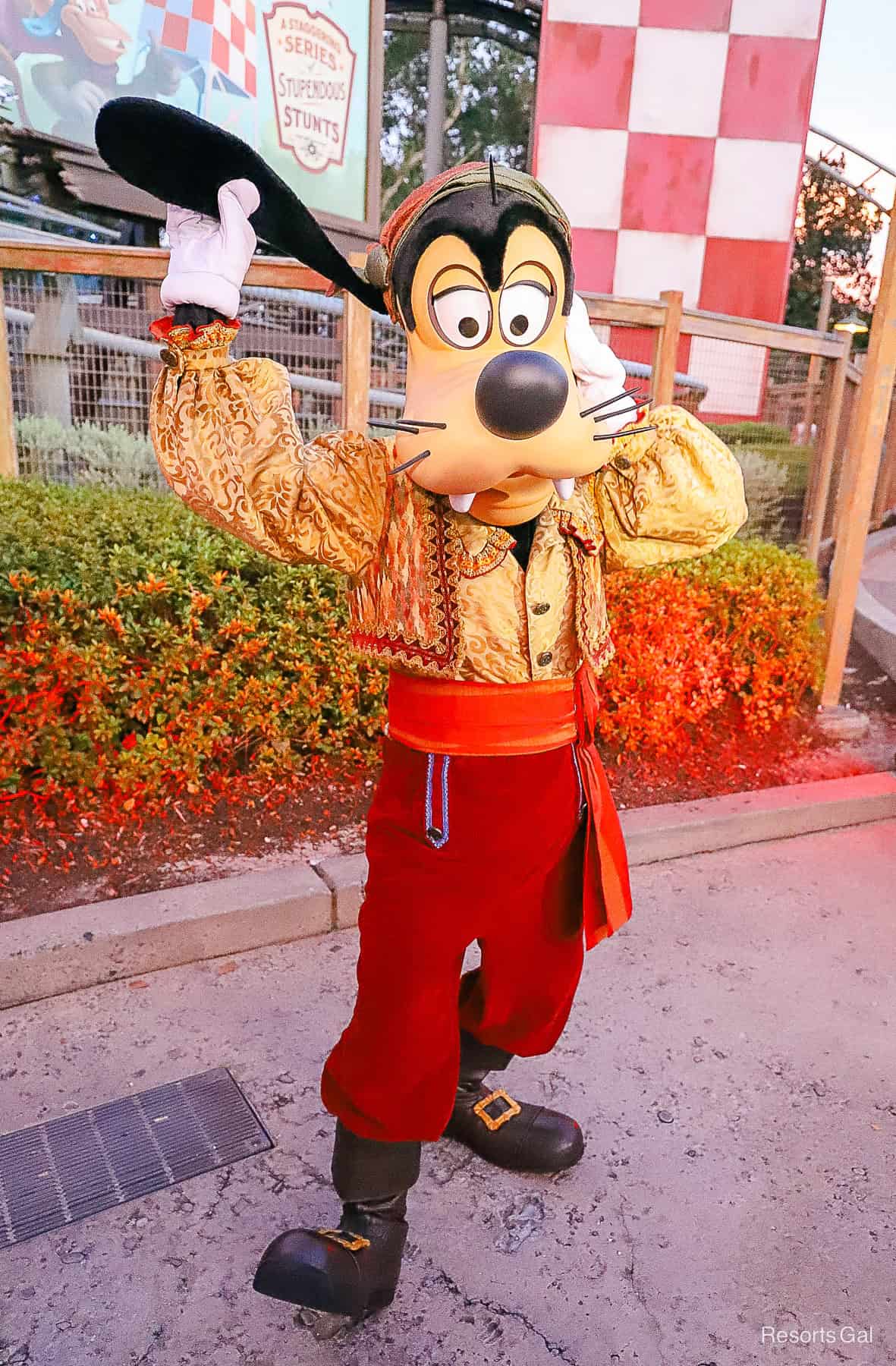 Pirate Goofy 