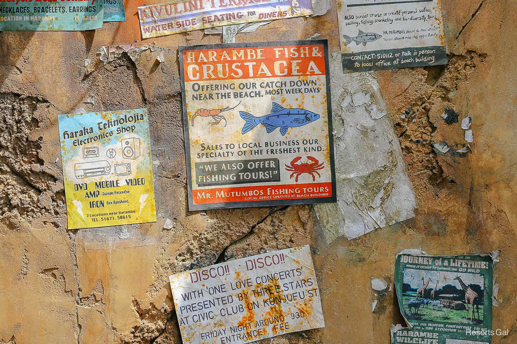 advertisements as part of the theming of Harambe Market at Animal Kingdom 