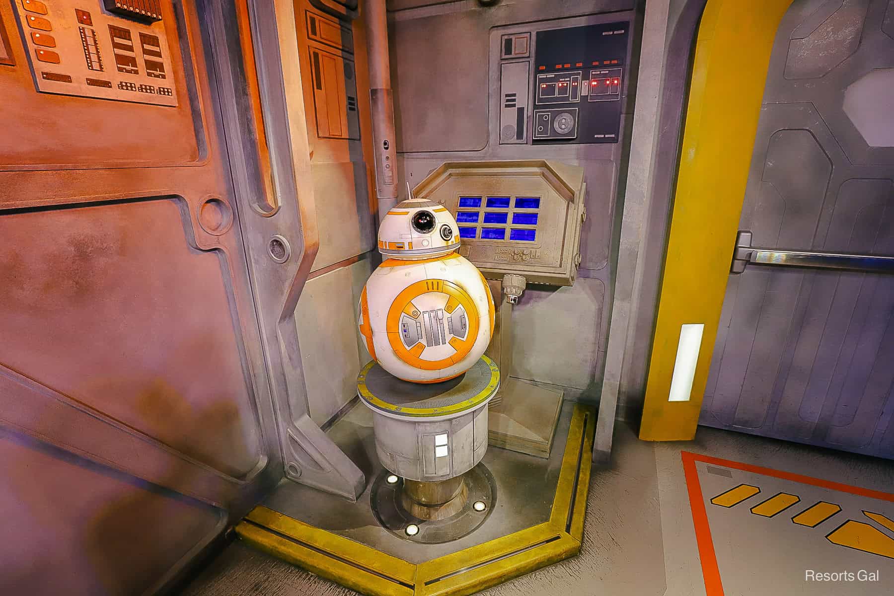 BB-8 sits on a stand at his Hollywood Studios meet-and-greet. 