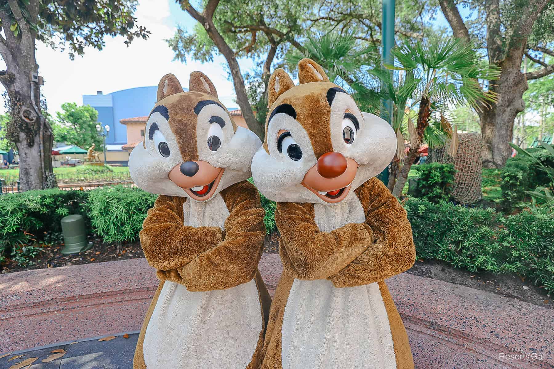 Chip and Dale pose with arms crossed near the Brown Derby at Disney's Hollywood Studios. 