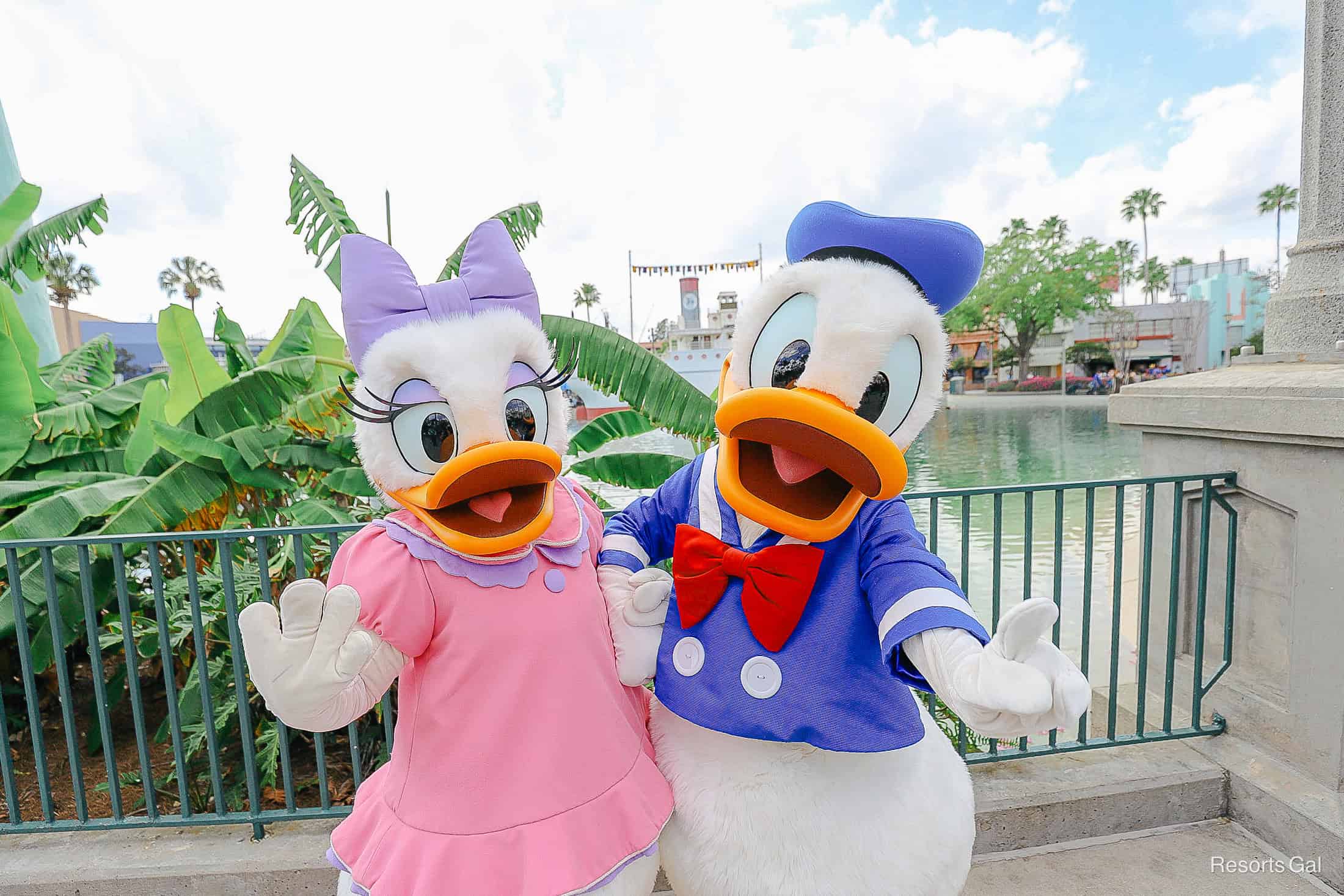 Daisy Duck poses with Donald Duck to her right wearing her pink dress with purple trim. 