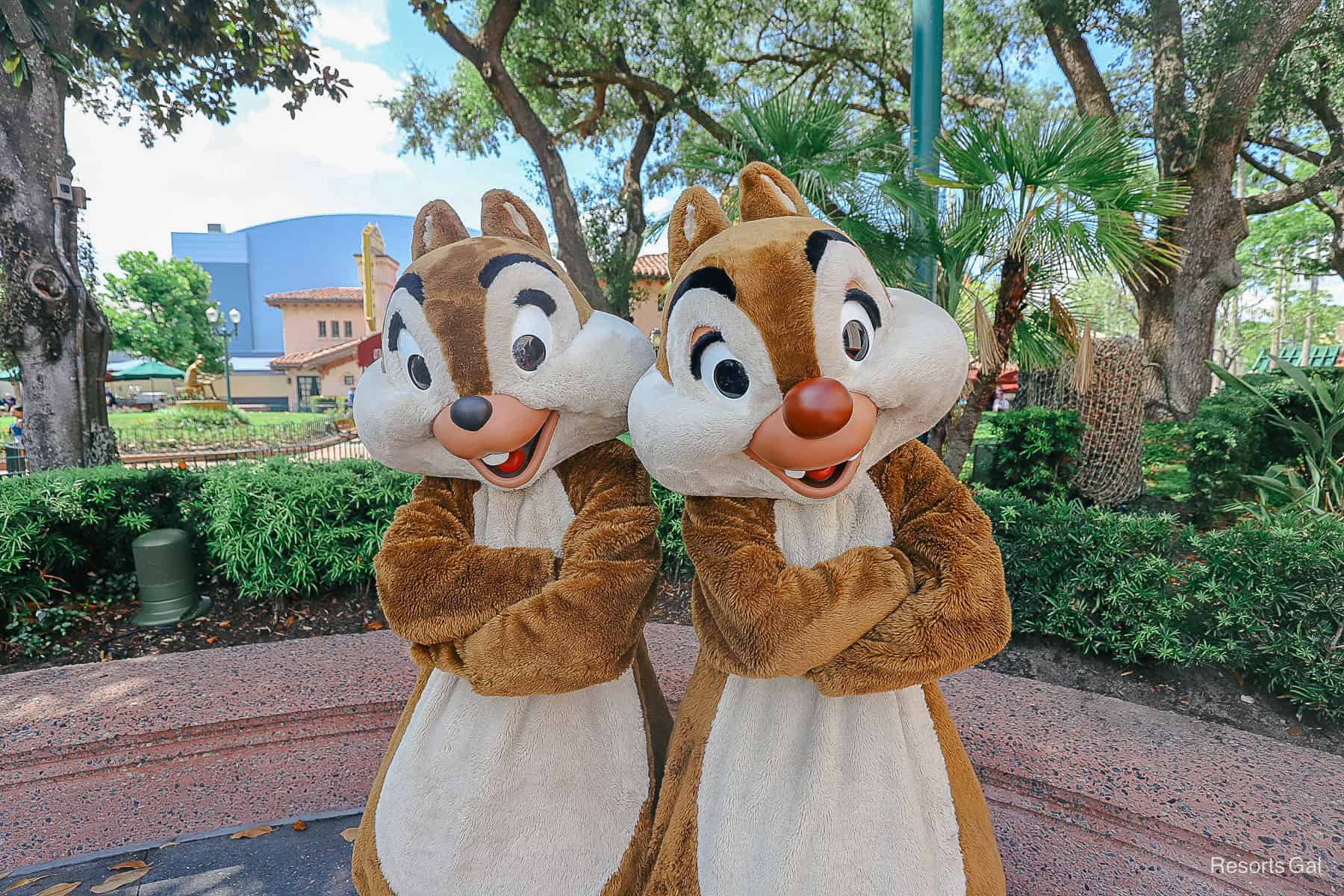 Chip and Dale as they stand in the shade near Hollywood Boulevard at Disney's Hollywood Studios.