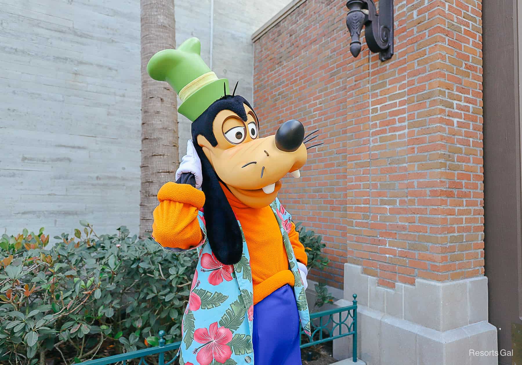 Goofy scratches his head at Grand Ave North at Disney's Hollywood Studios. 