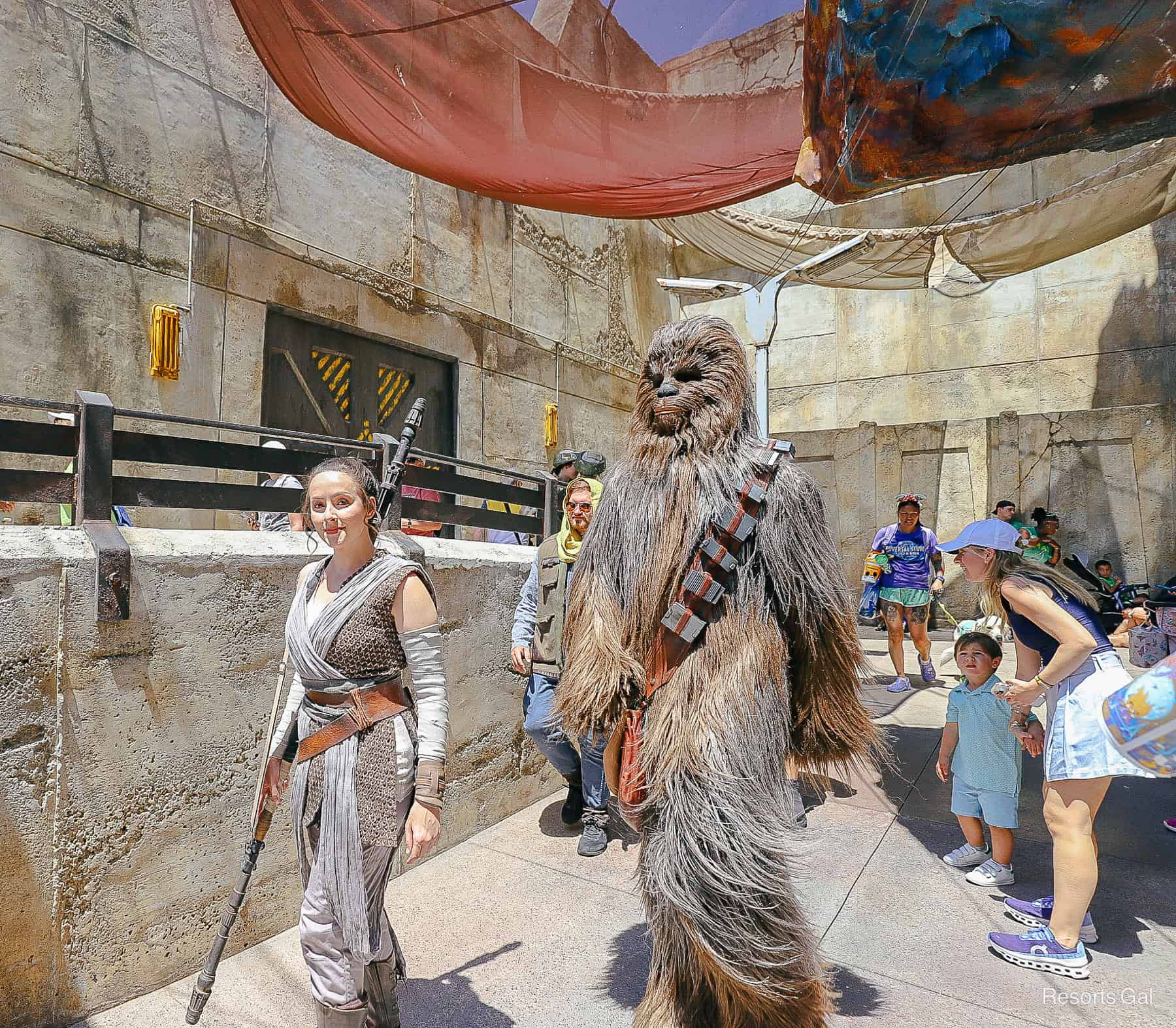 Rey walks through Black Spire Outpost at Disney's Hollywood Studios with Chewbacca beside her. 