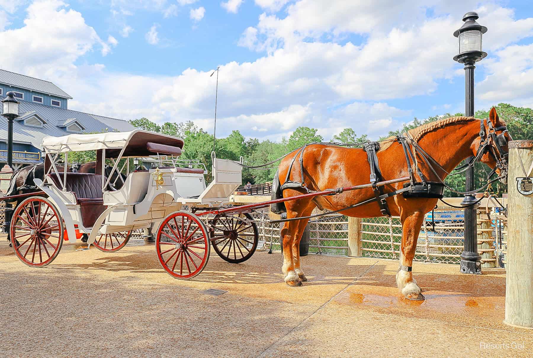 How to Book a Horse-Drawn Carriage Ride at Disney’s Port Orleans Riverside
