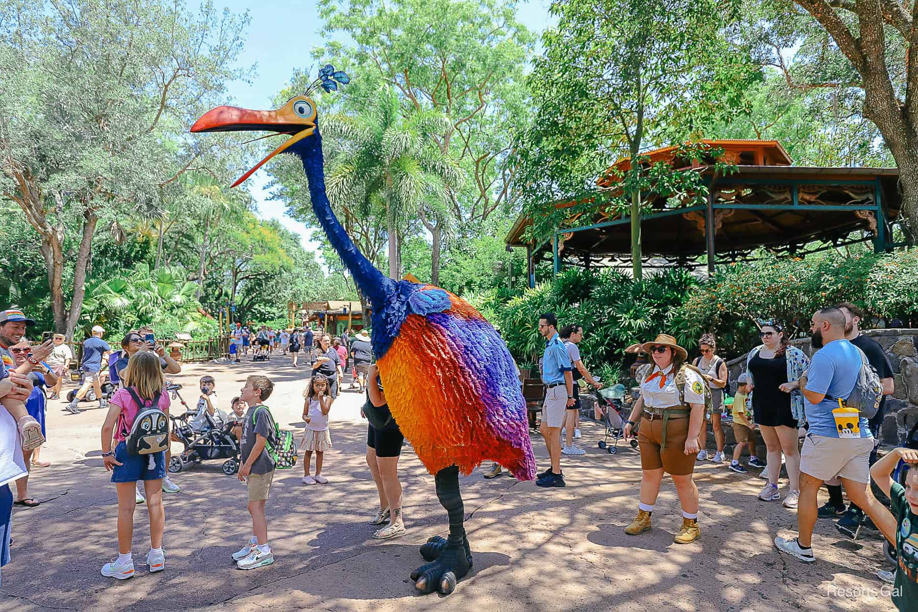 Kevin roams Discovery Island 