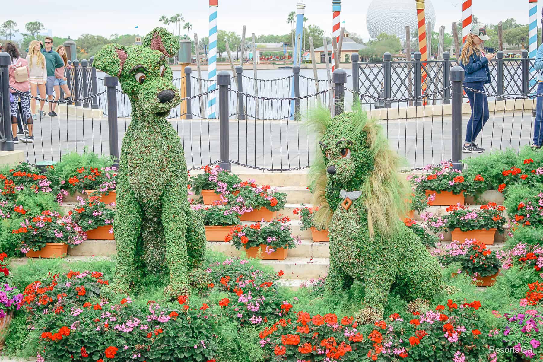 a close up of the Lady and the Tramp topiary near the Ponte della Paglia in Epcot's Italy Pavilion