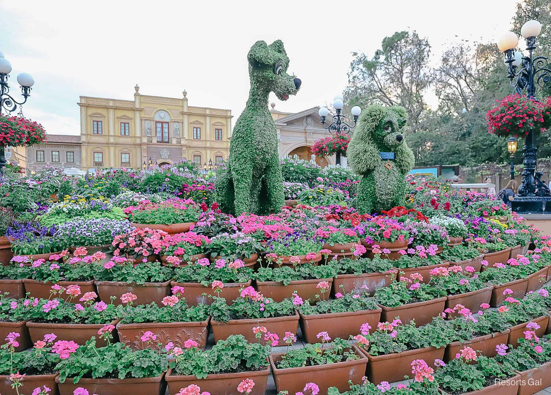 Lady and the Tramp surrounded by potted flowers in pinks, purples, and reds 