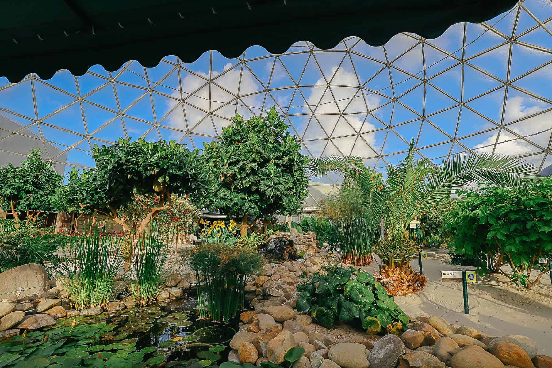 Living with the Land attraction at Epcot 