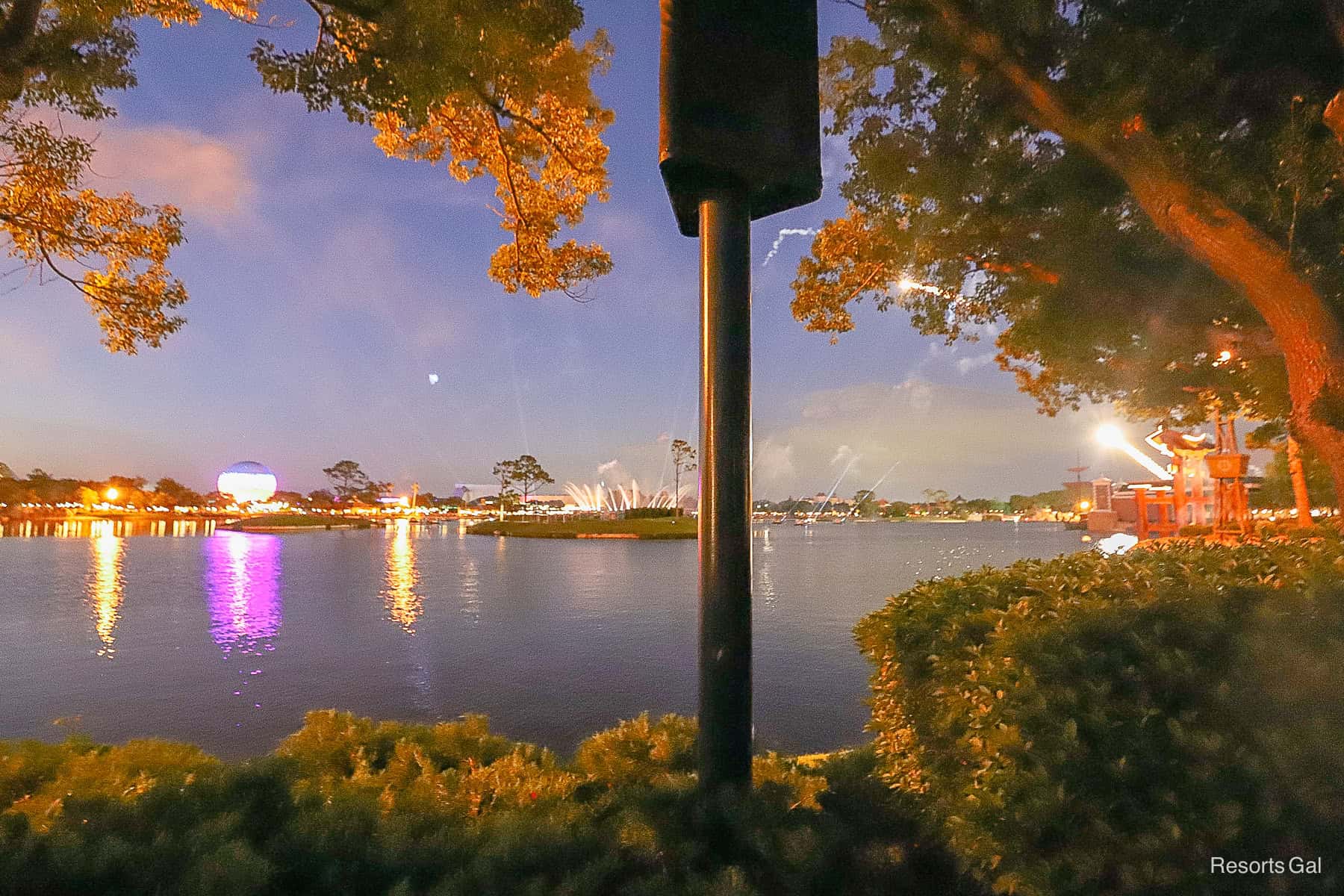 a view of the Epcot fireworks obstructed by trees 