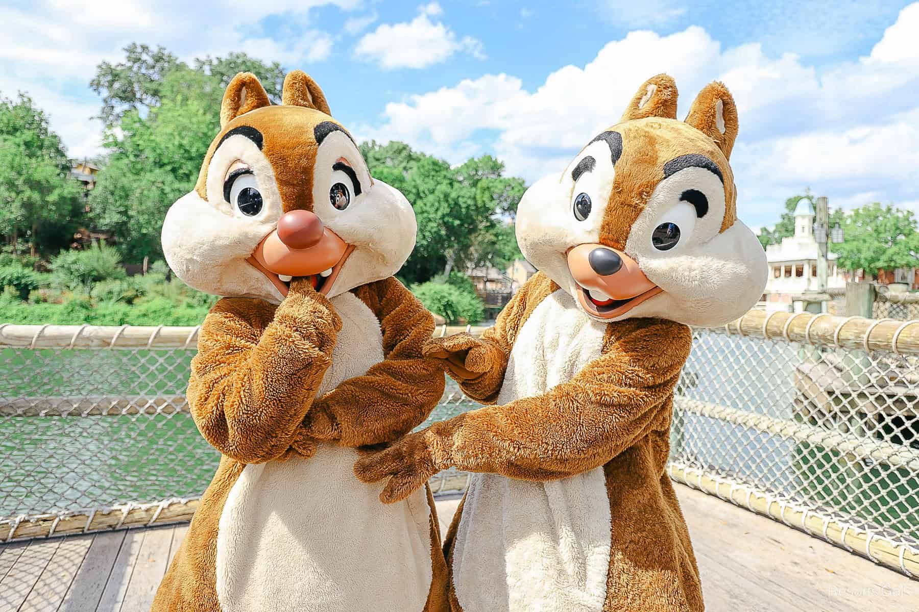 Chip and Dale pose for a photo at Magic Kingdom. 